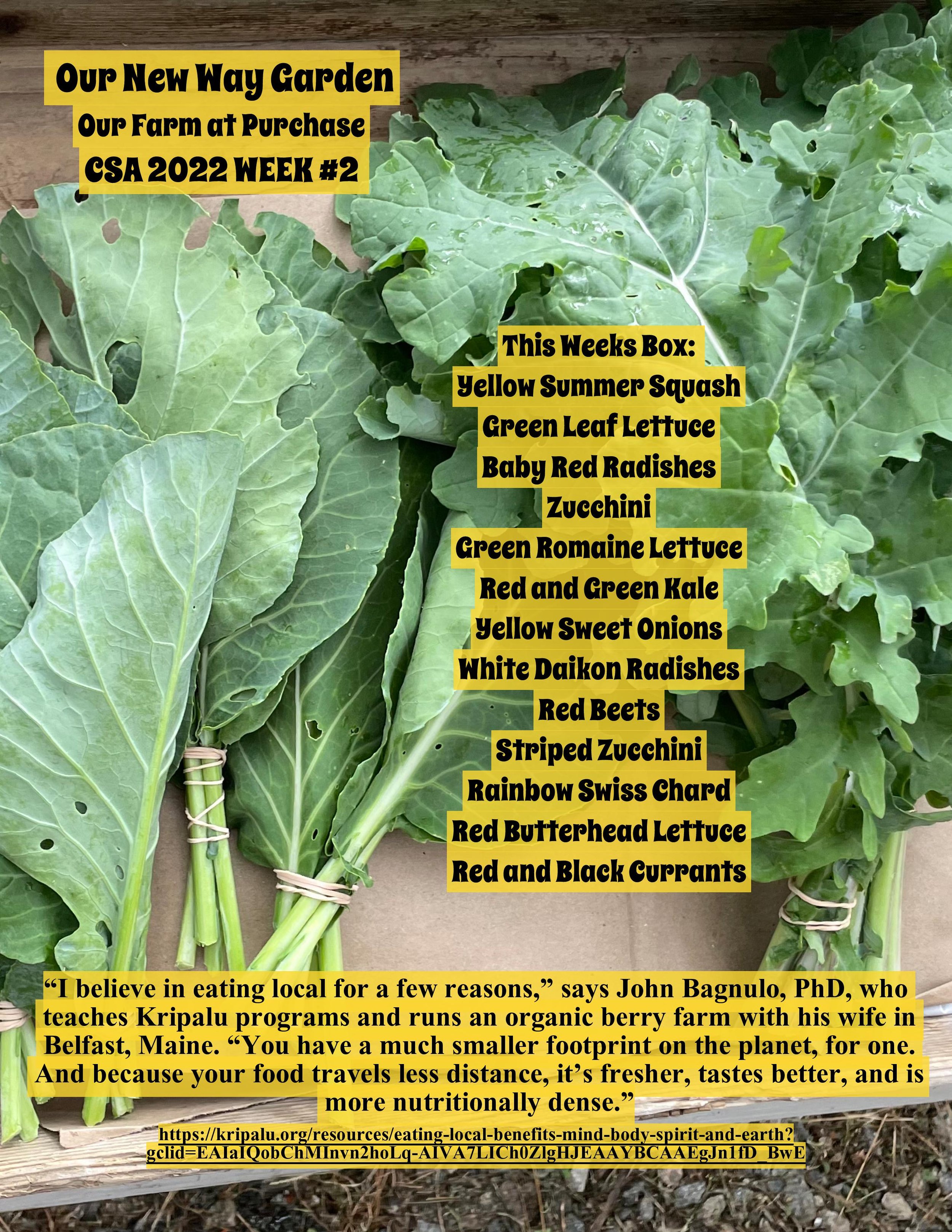 ONWG CSA PDF Week 2-page-001.jpg