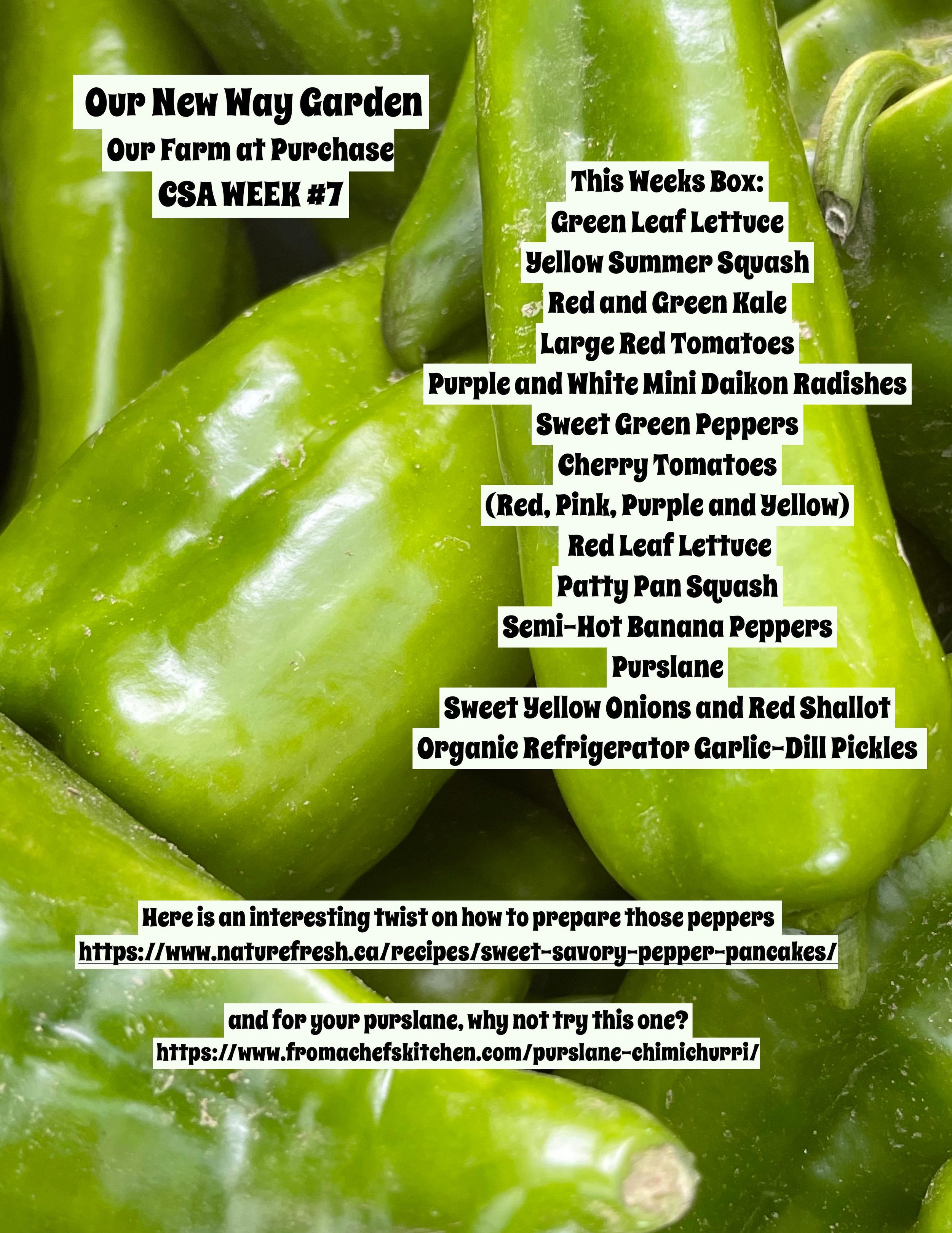 ONWG CSA PDF week7-page-001.jpg