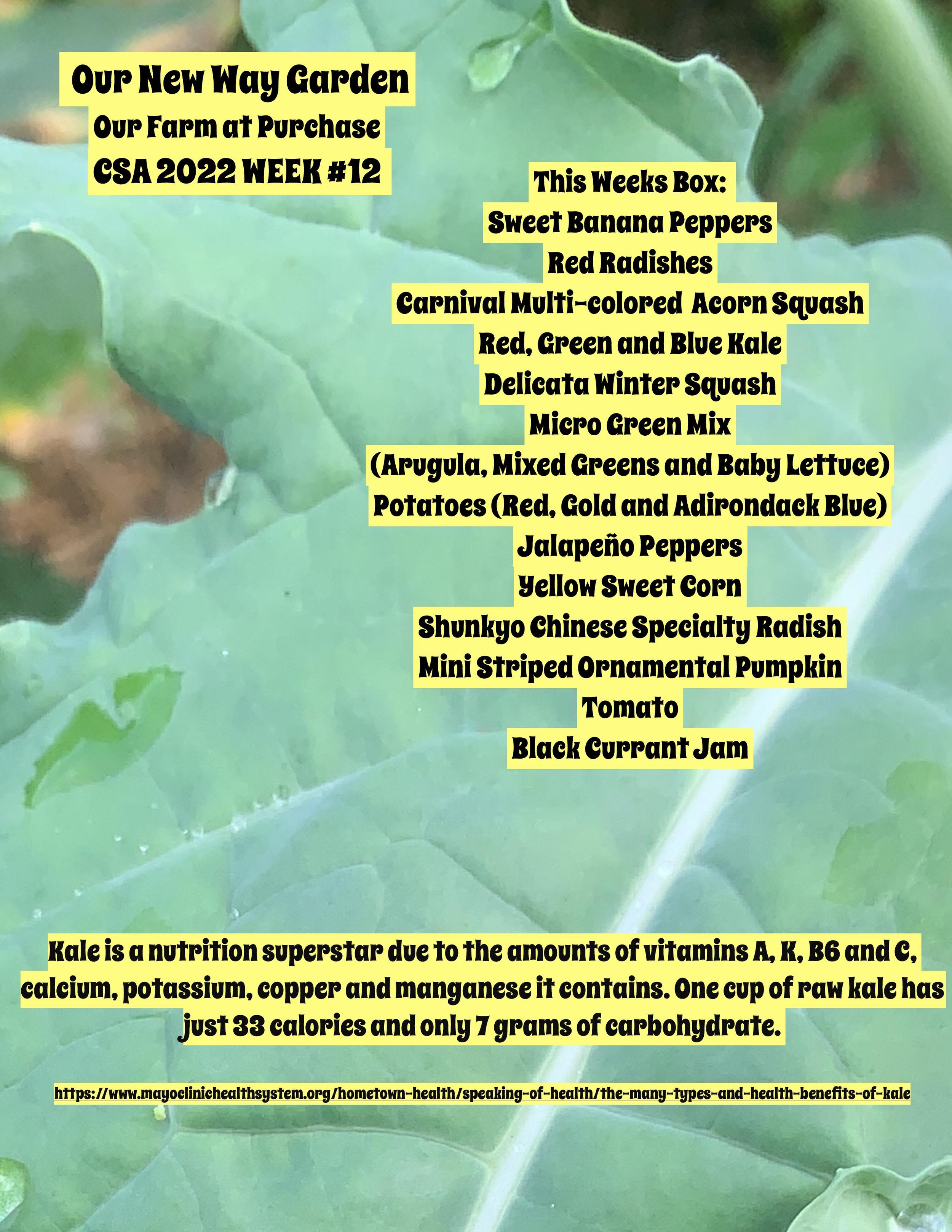 csa 2022 week 12-page-001.jpg