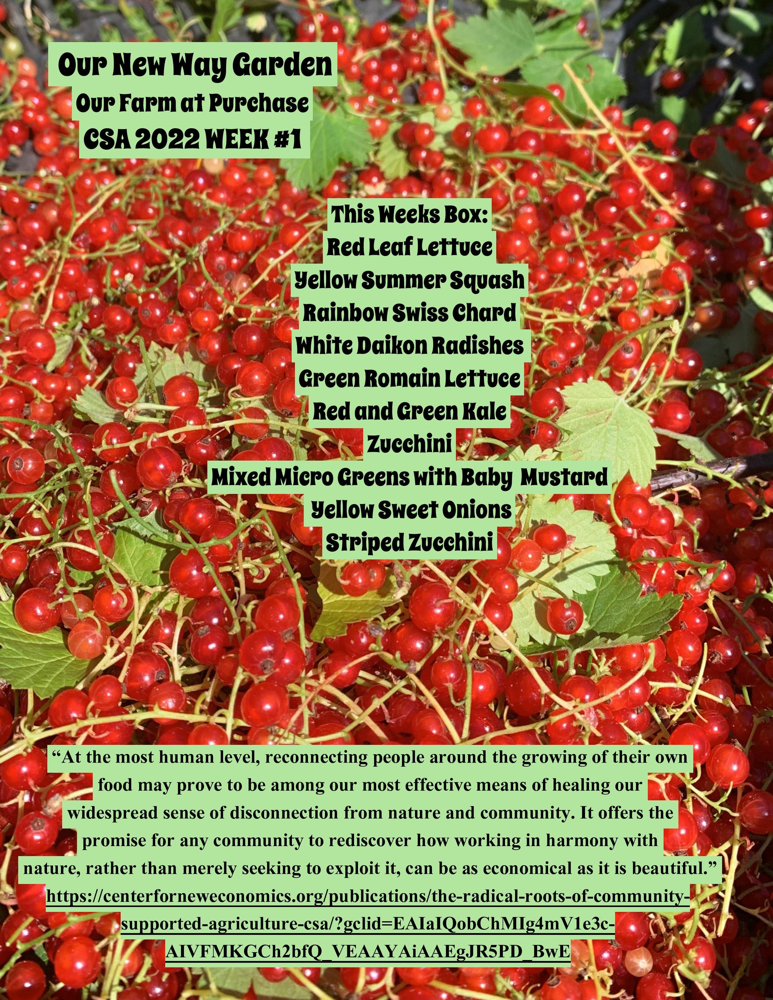 csa 2022 wk 1-page-001.jpg