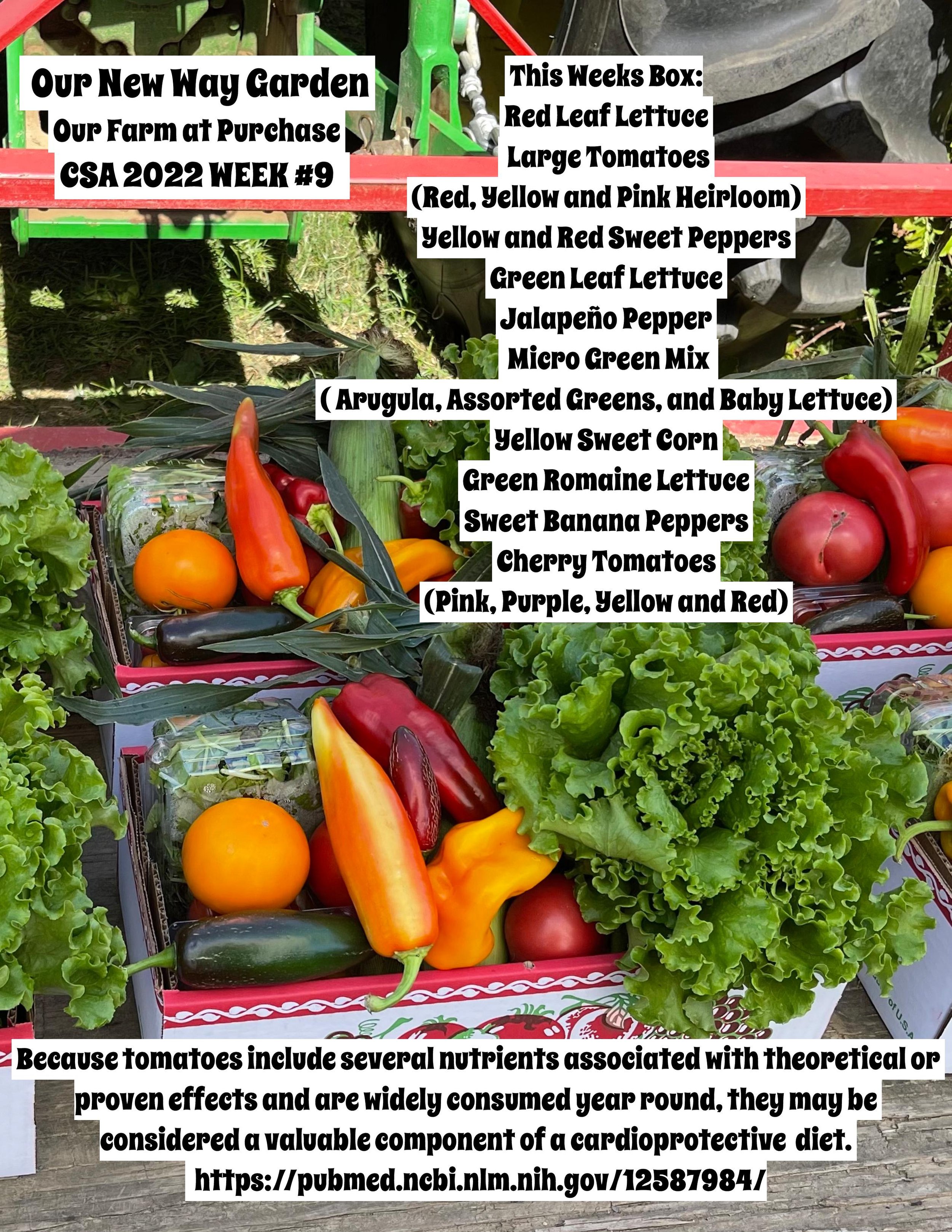 CSA PDF week #9-page-001.jpg