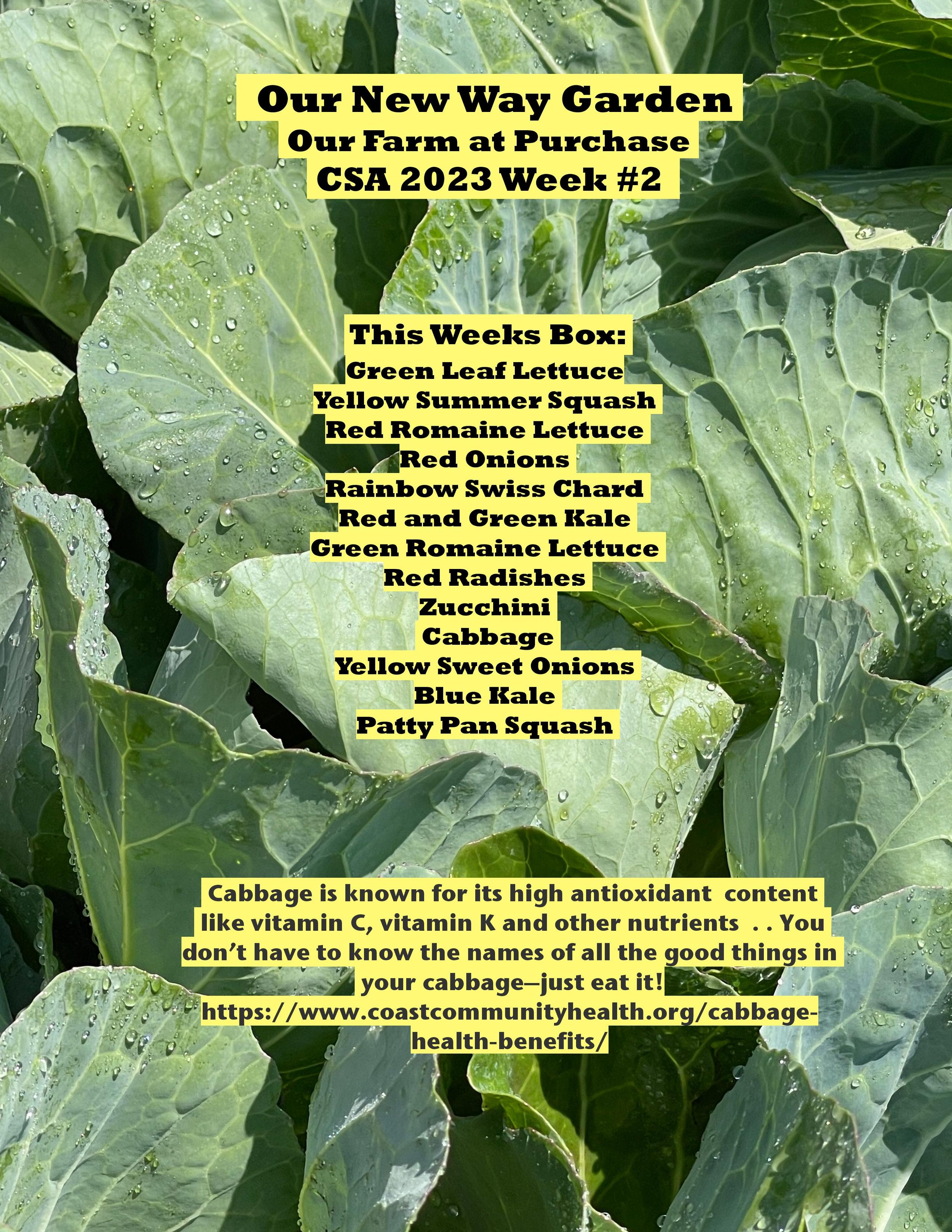CSA PDF 2023 Week 2-page-001.jpg