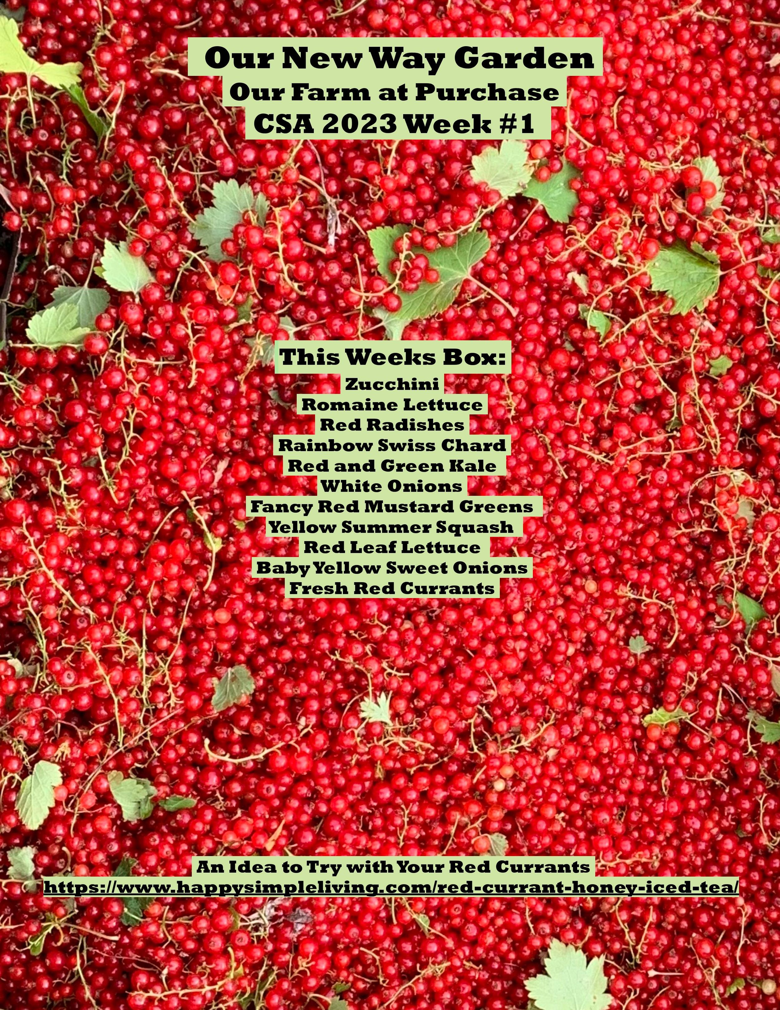 CSA PDF 2023 Week 1-page-001.jpg
