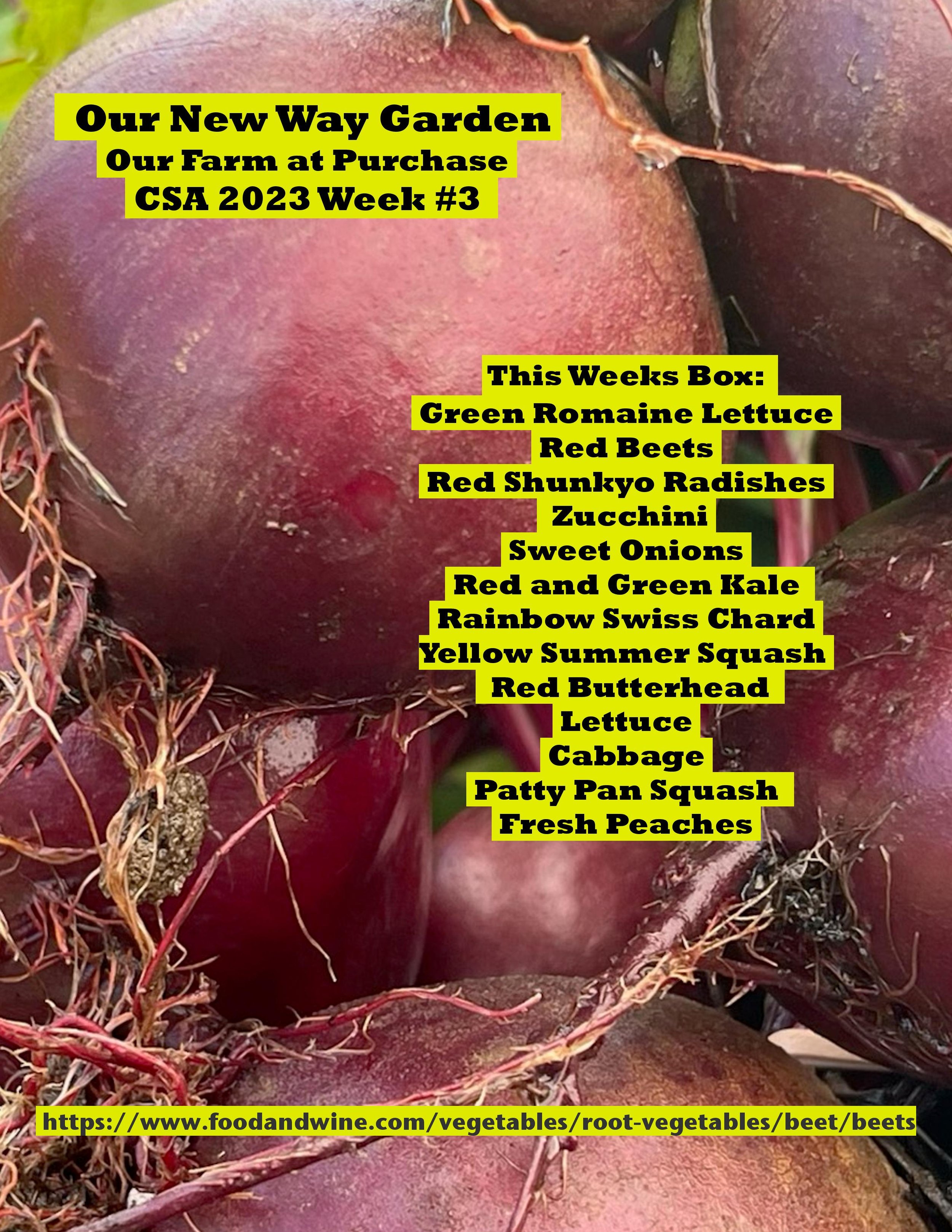 CSA PDF 2023 week 3-page-001.jpg