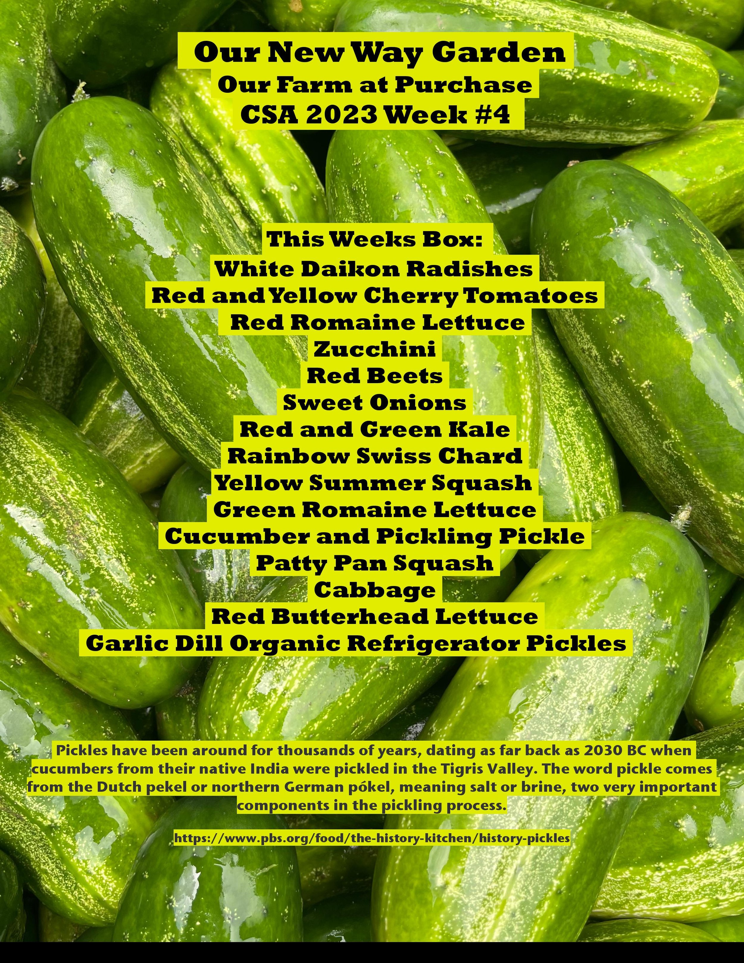 CSA PDF 2023 week 4-page-001.jpg