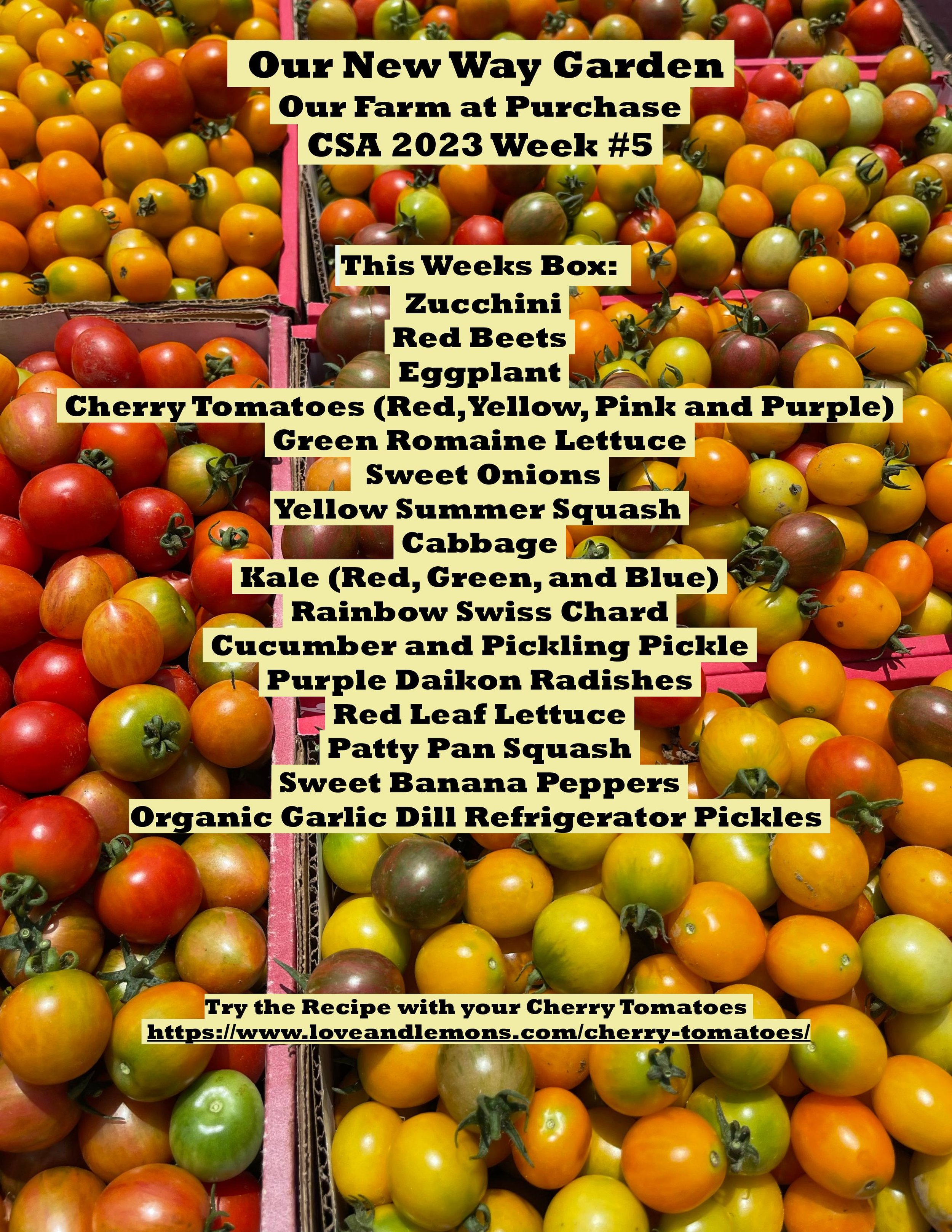 CSA PDF 2023 week 5-page-001.jpg