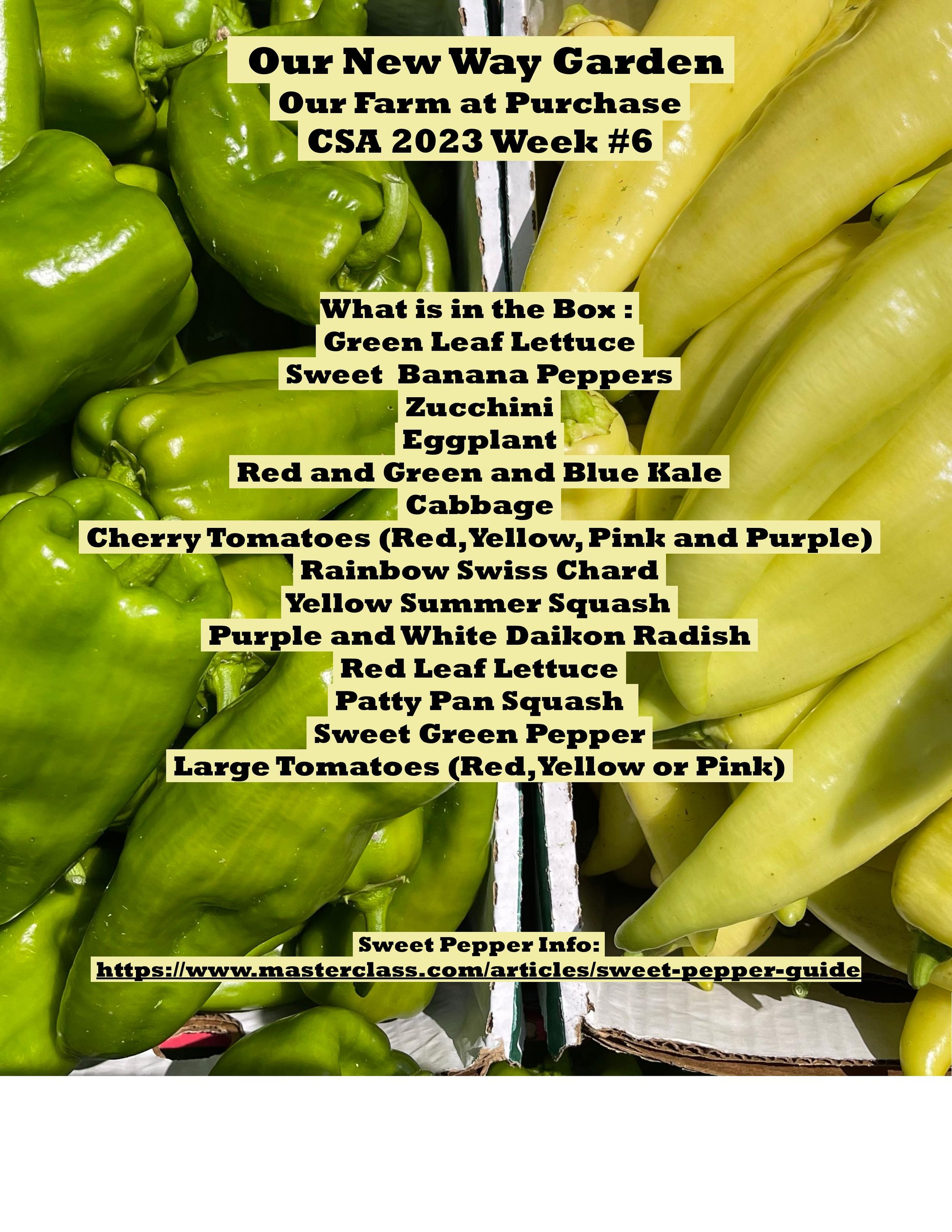 CSA PDF 2023 week 6-page-001.jpg