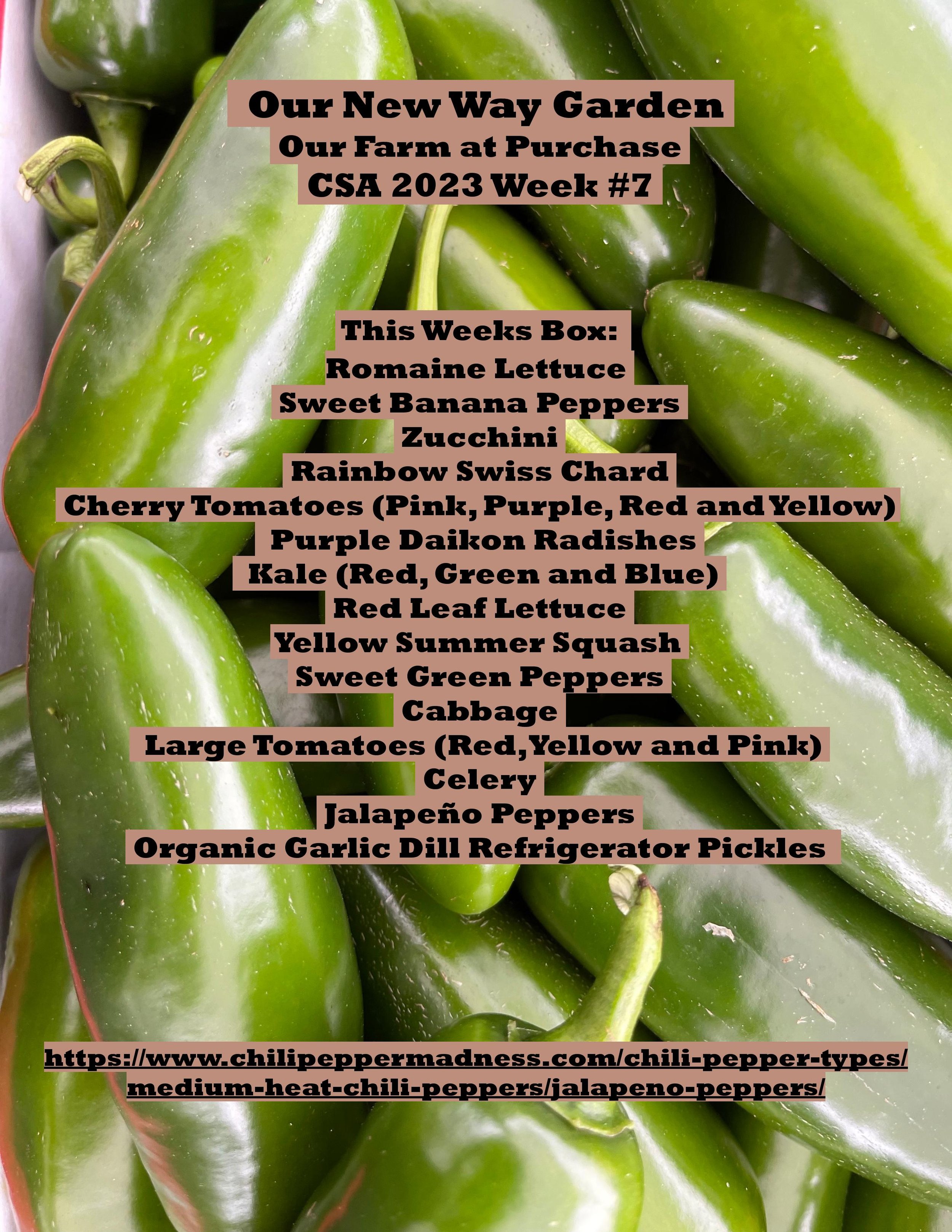 CSA PDF 2023 week 7-page-001.jpg