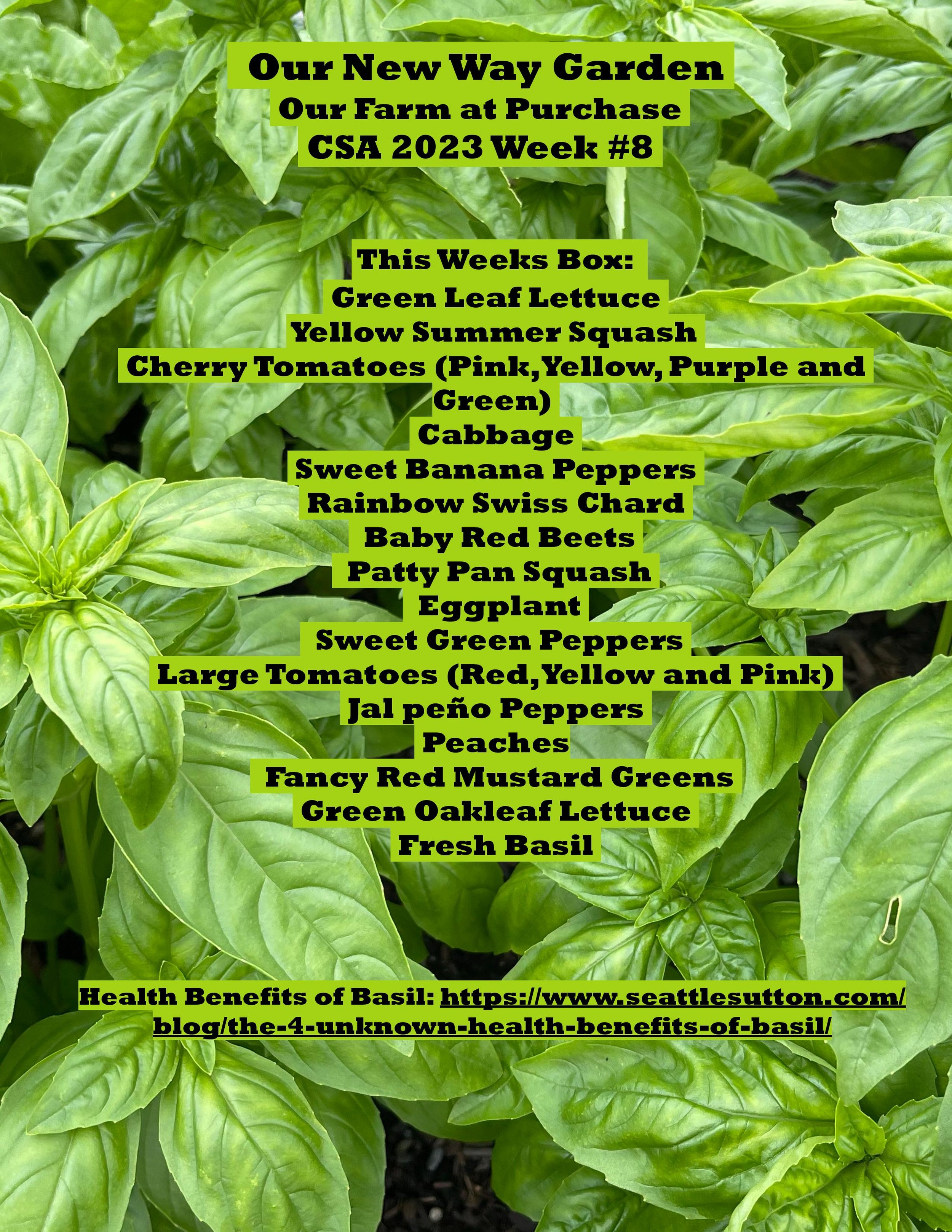 CSA PDF 2023 Week 8-page-001.jpg