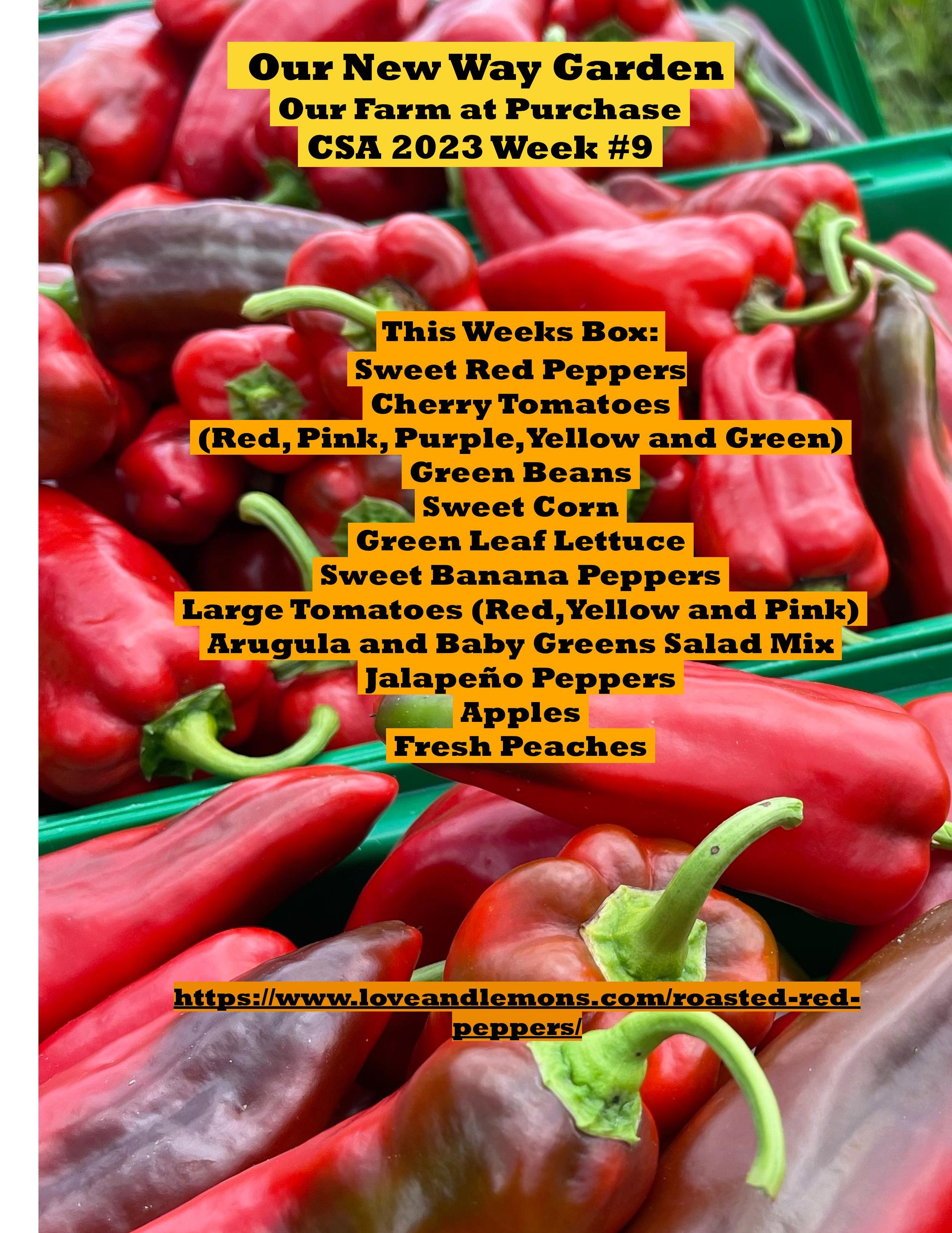 ONWG CSA 2023 week #9-page-001.jpg