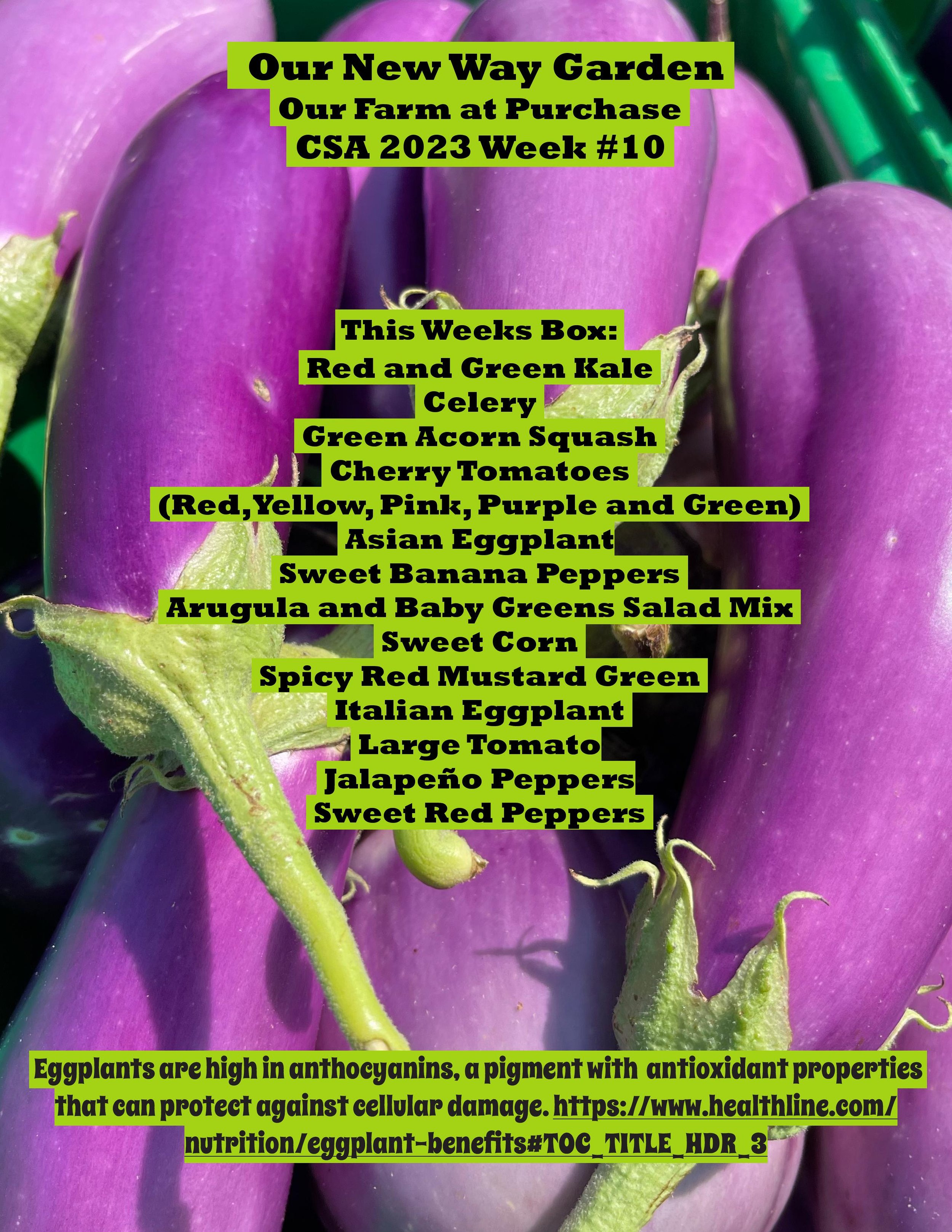 ONWG CSA 2023 week #10-page-001.jpg