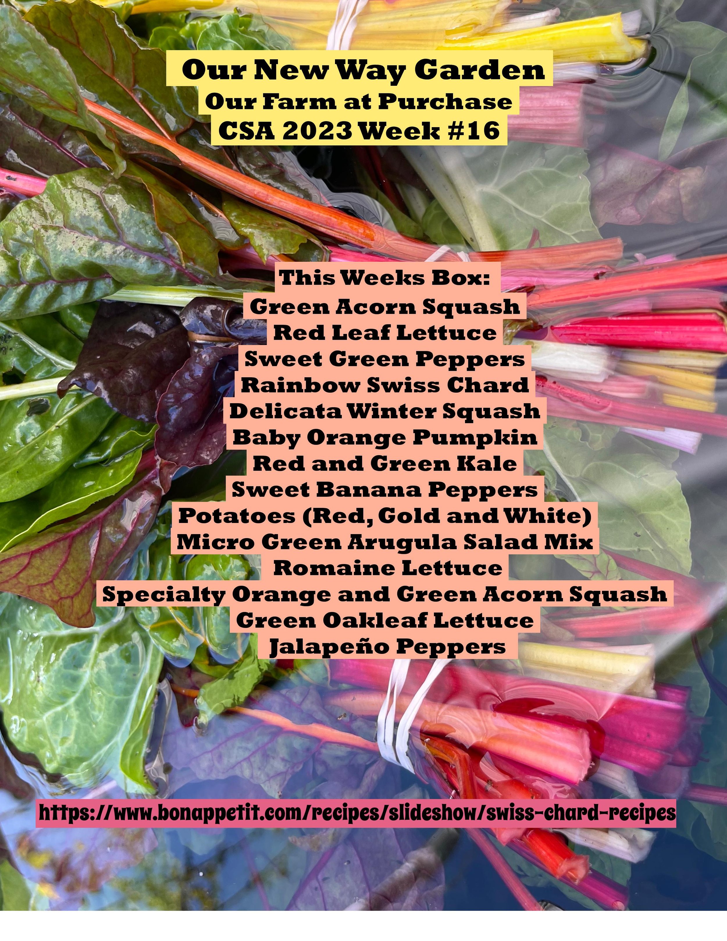 ONWG CSA PDF week 16-page-001.jpg