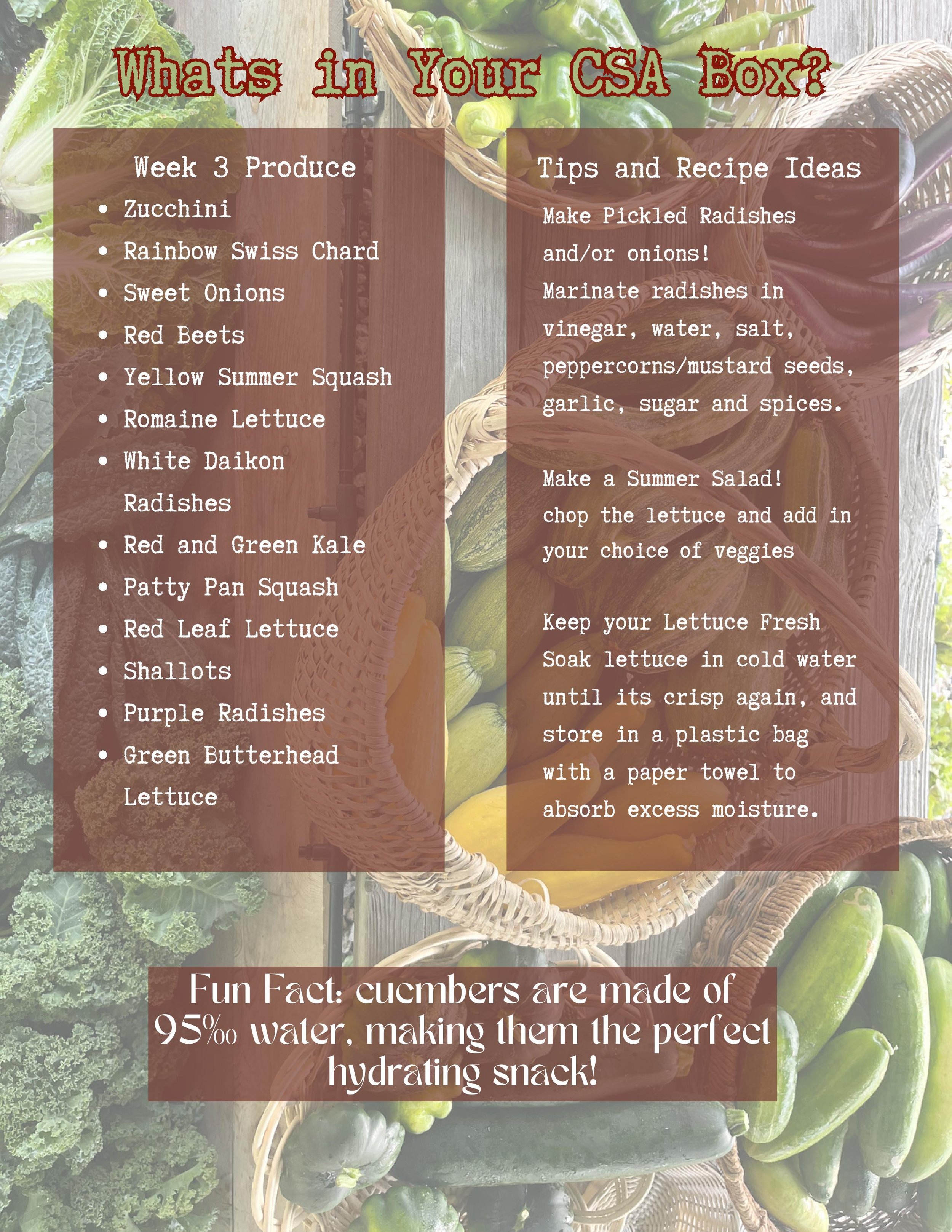 CSA week 3 -page-001.jpg