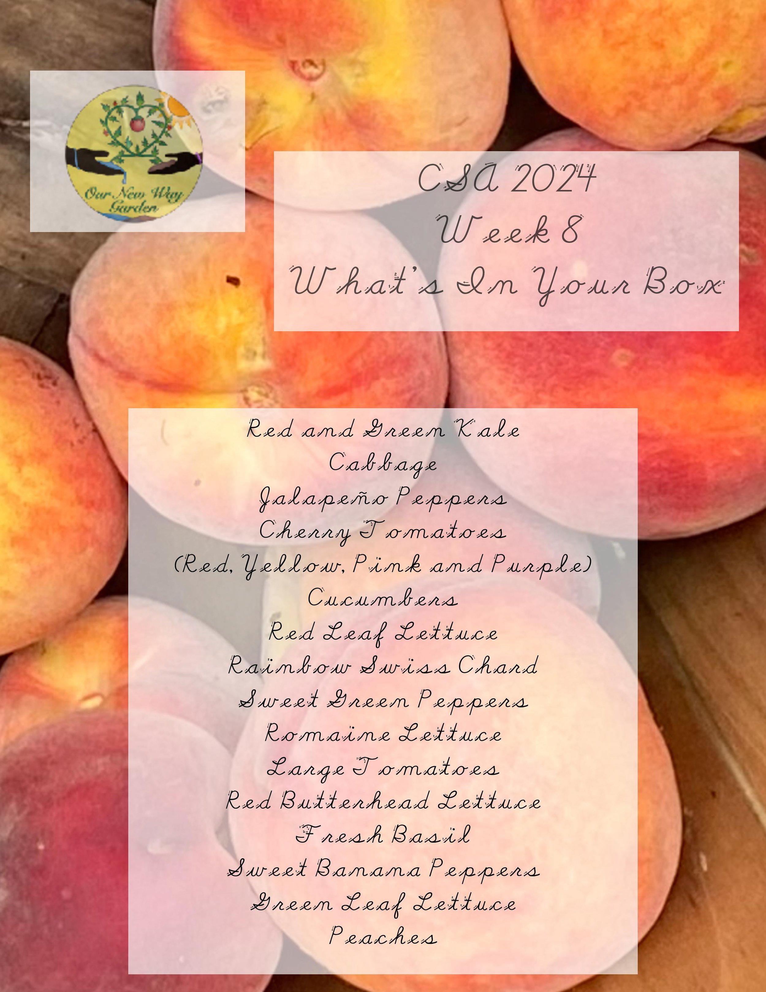 ONWG CSA 2024Week 8 -page-001.jpg