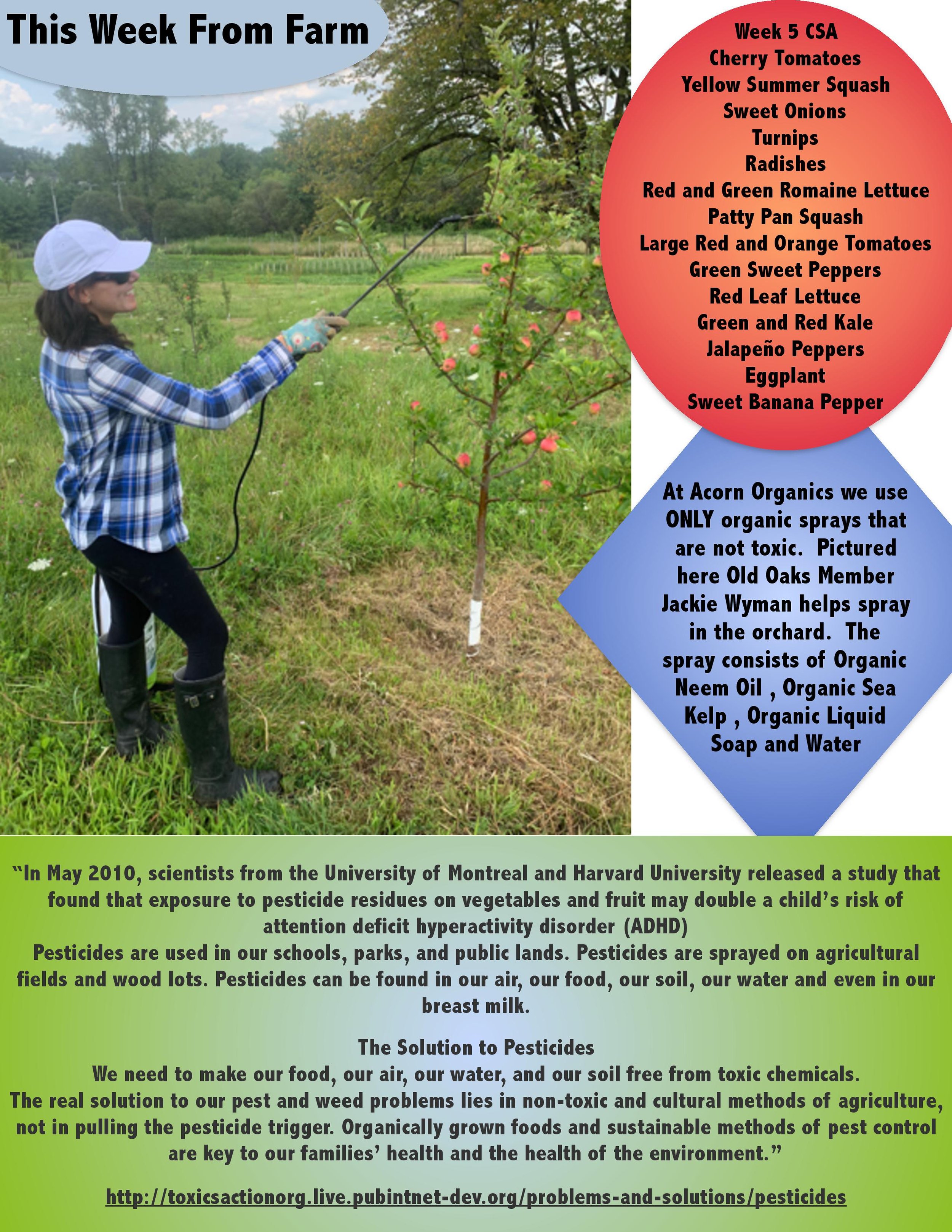 Acorn Organics CSA PDF week 5-page-001.jpg