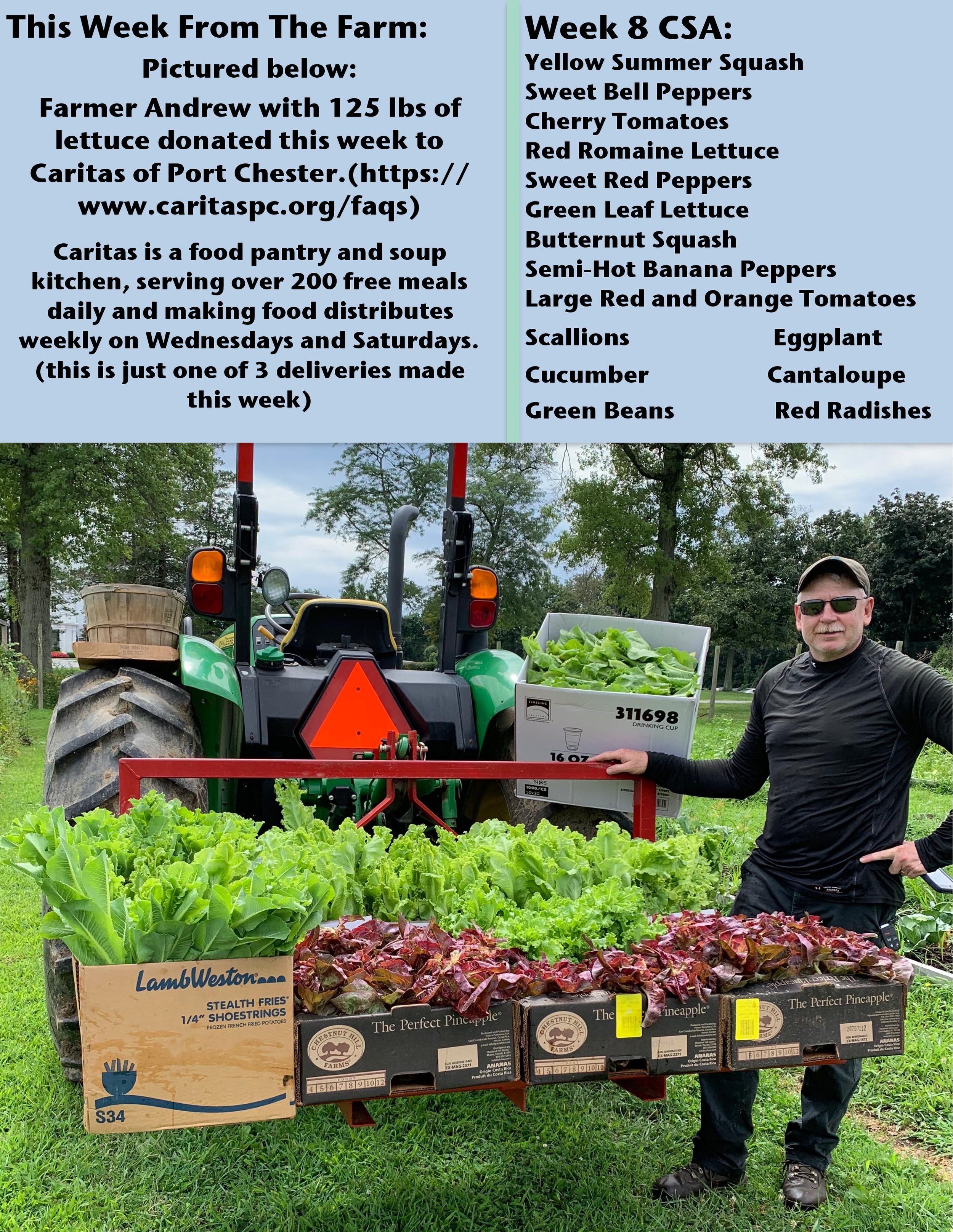 Acorn Organics PDFweek 8-page-001.jpg