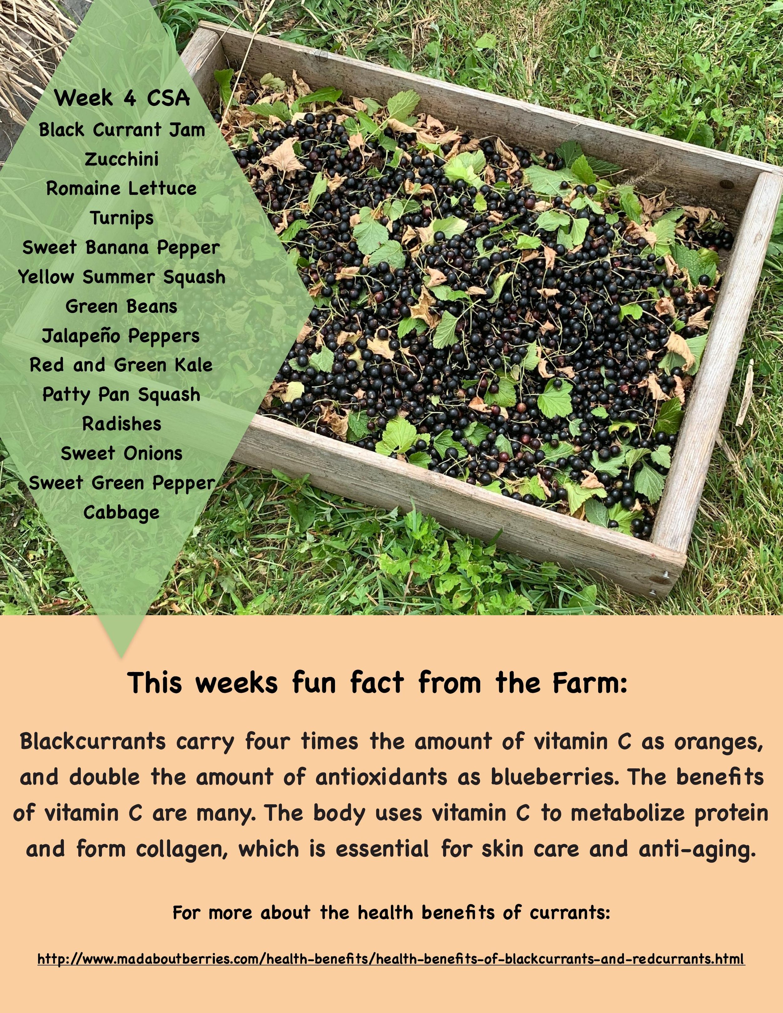 CSA 2019 week 4 PDF-page-001.jpg
