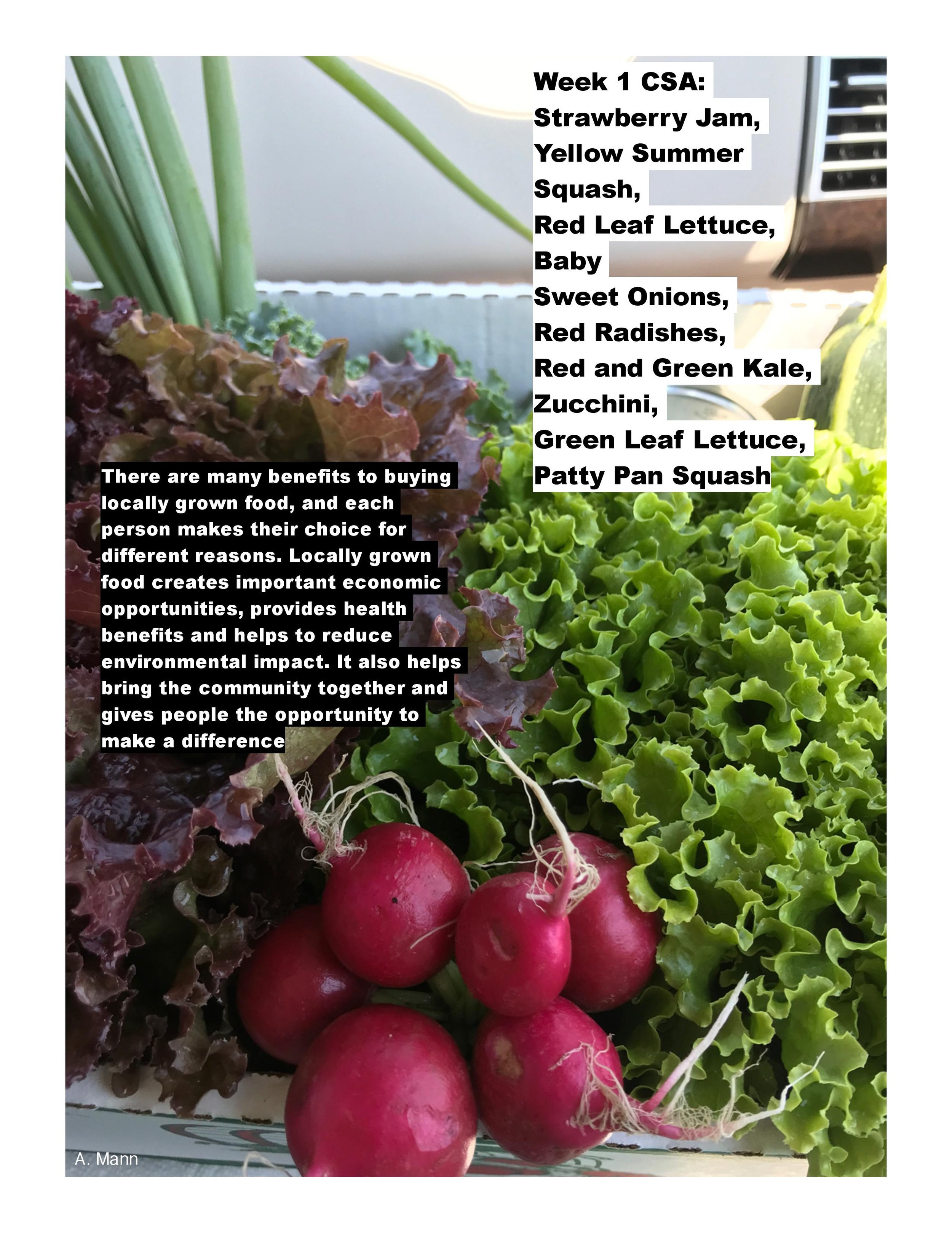 CSA 2019 wk1-page-001.jpg