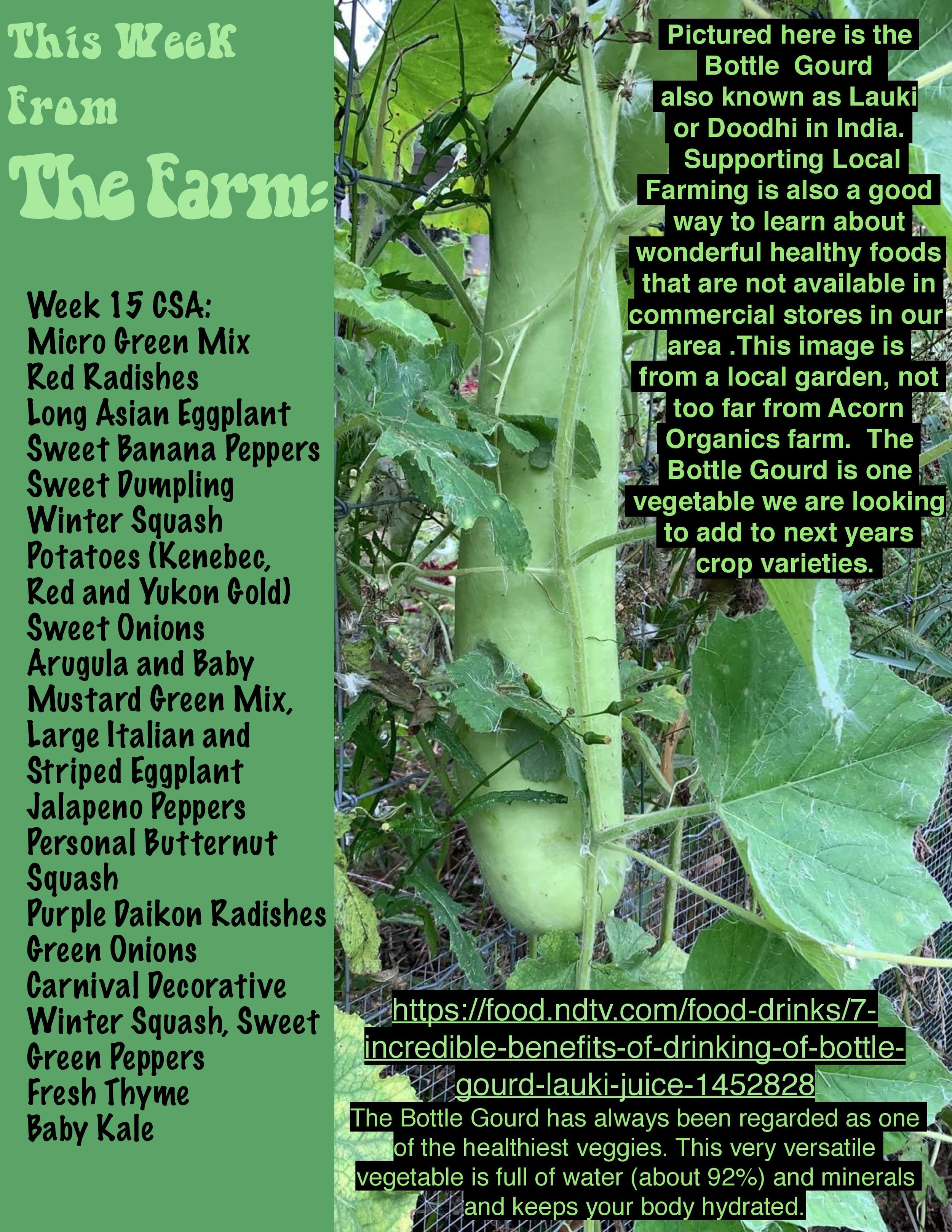 CSAPDF week 15-page-001.jpg