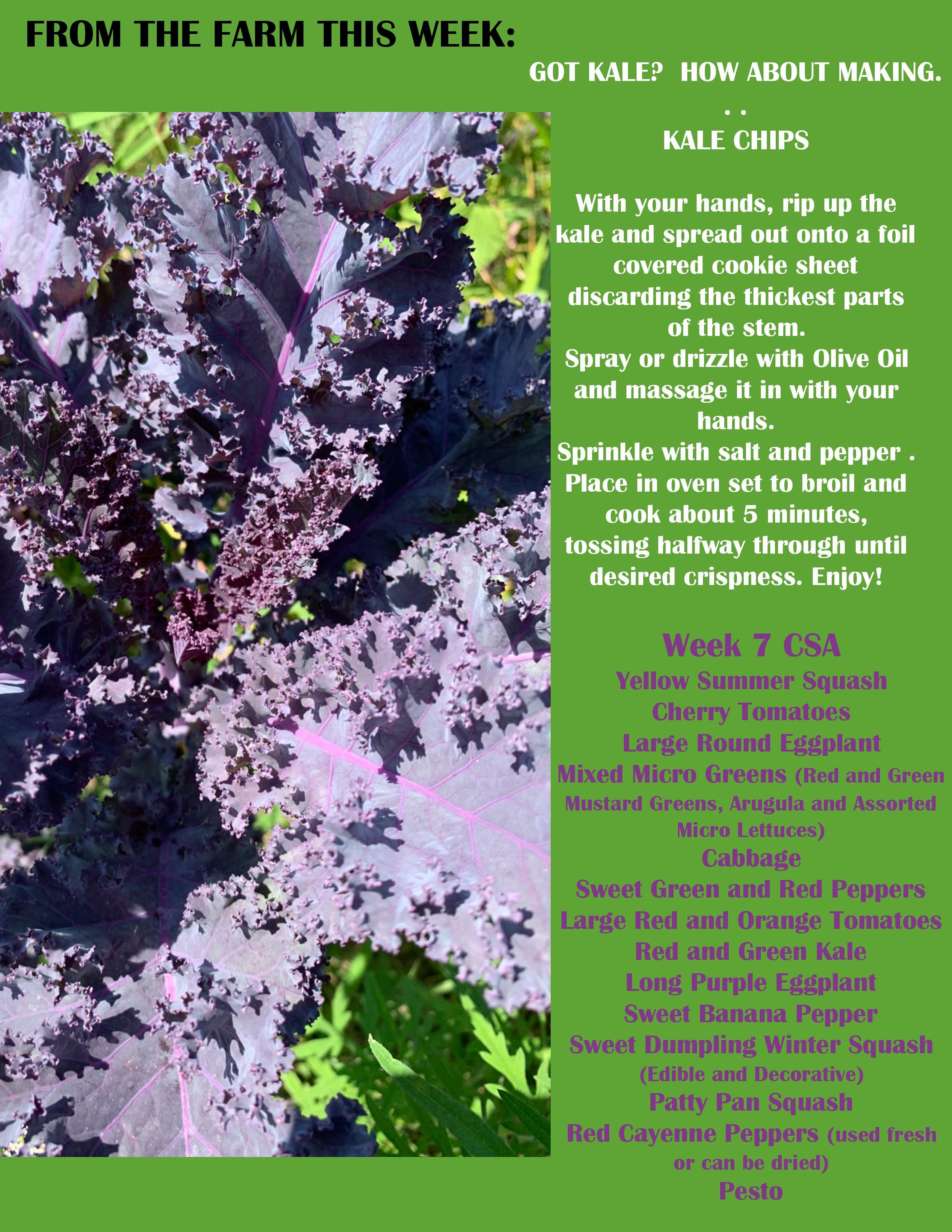 PDF acorn organics week 7-page-001.jpg