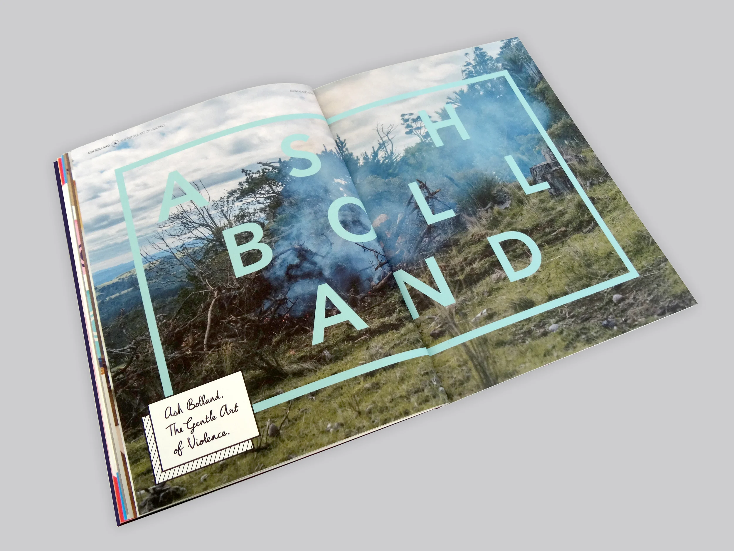 6_ash bolland2 r2.jpg