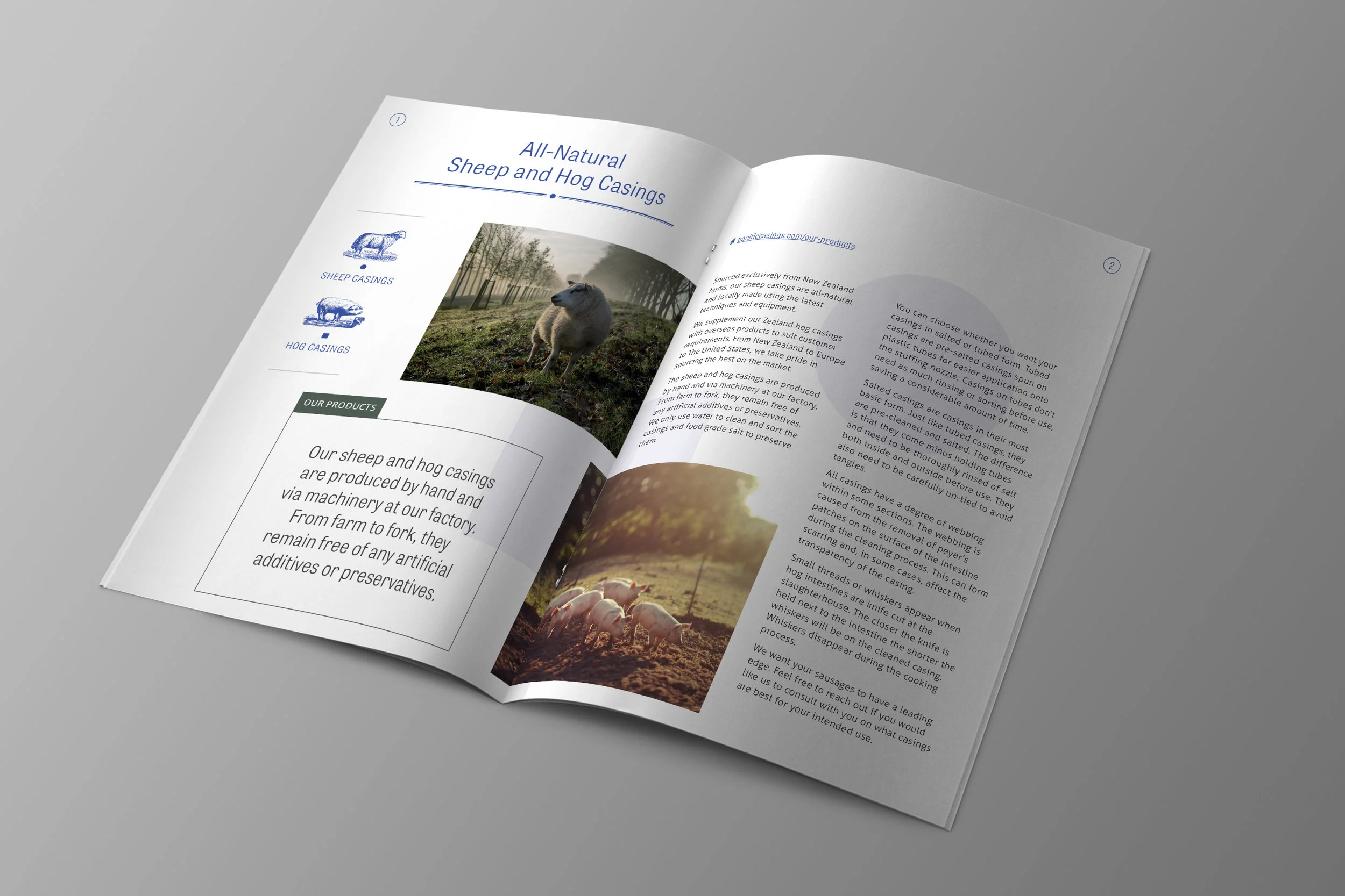 PC-Brochure-Inside-Illo-Mockup3.jpg