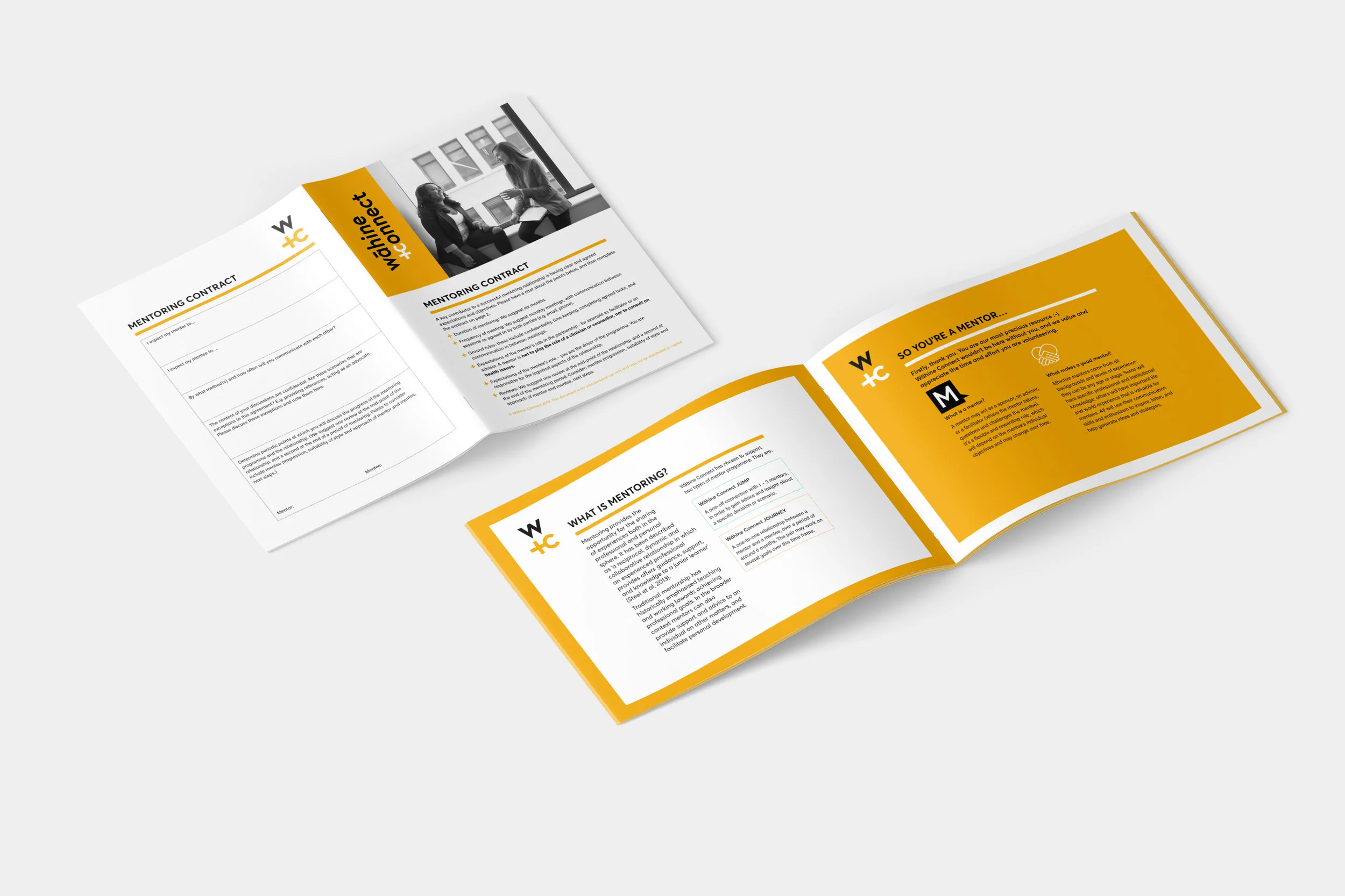 WC Lowdown_Brochure Mockup.jpg