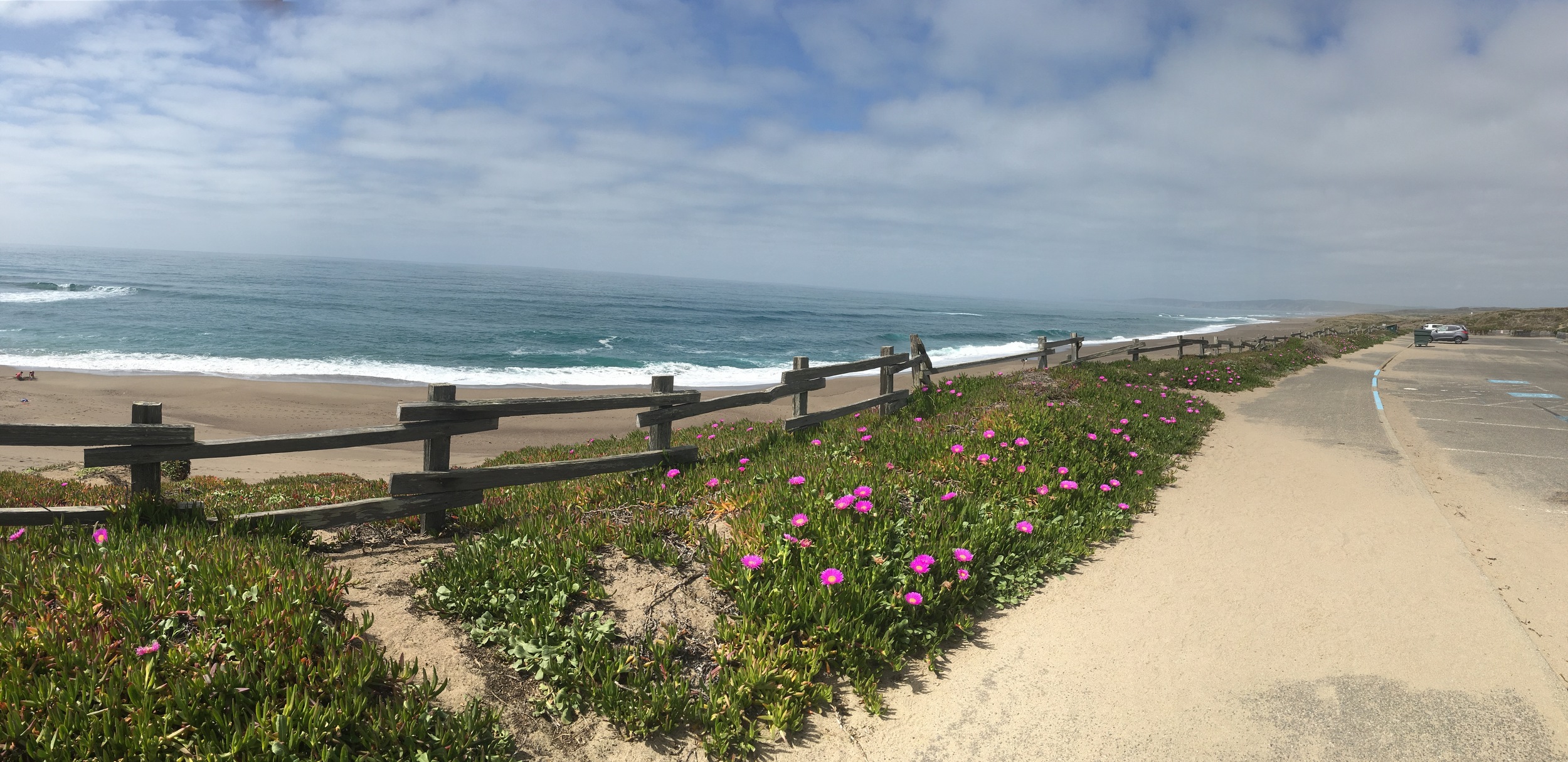 The view from the Point Reyes Beach North parking lot. It was great to get back to the coast again.