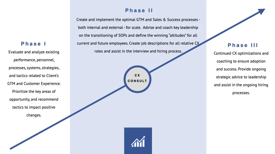 Tailwind Growth Advisors - Intro Deck w CX Consult.012.jpeg