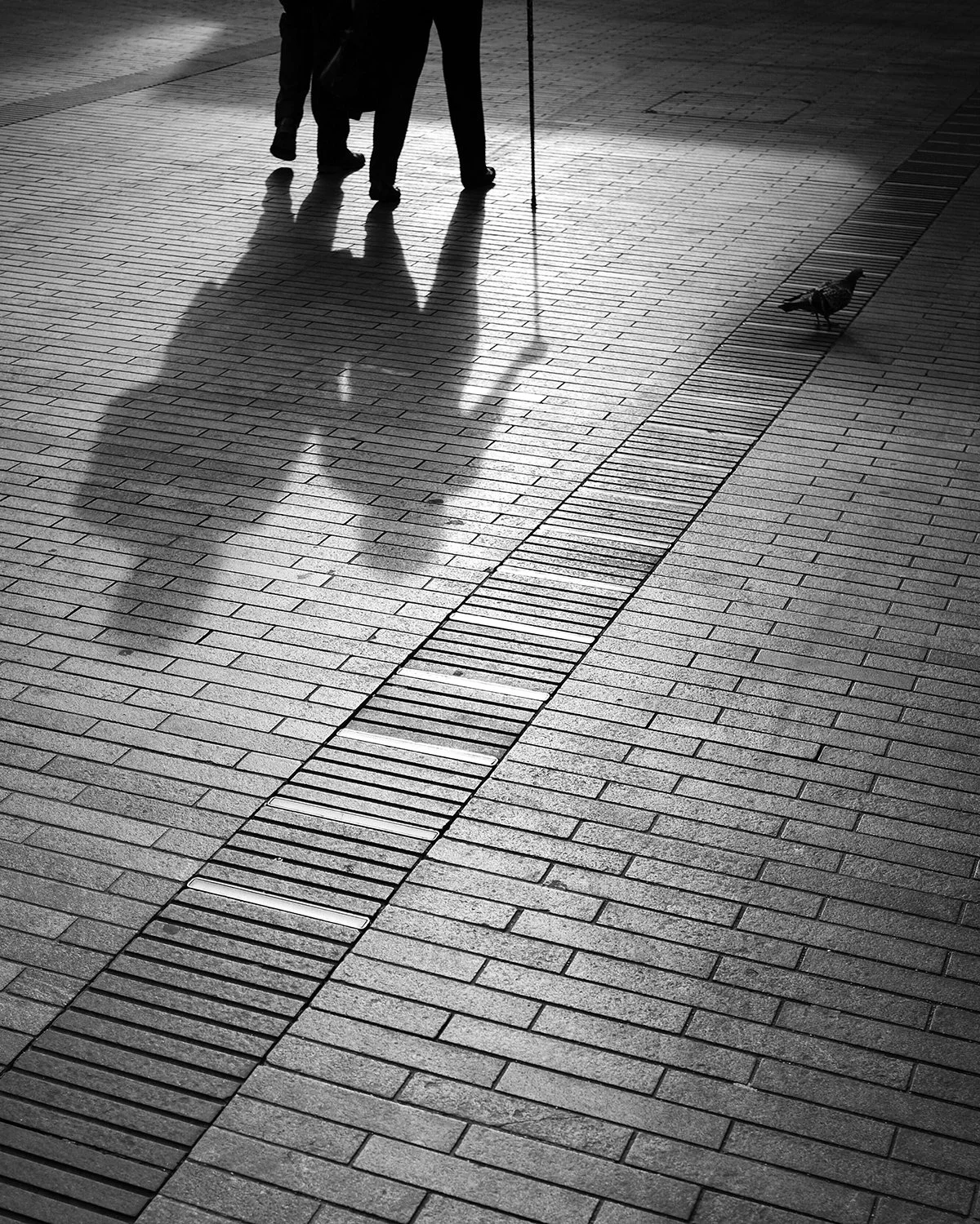 Silhouette of two people walking with a cane and a dog on a paved sidewalk, casting long shadows in black and white photograph