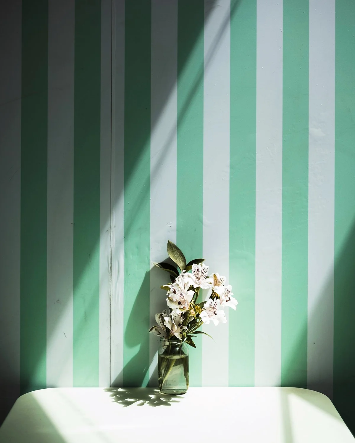 A vase with white flowers and green leaves on a white surface against a striped green and white wall with sunlight and shadow.