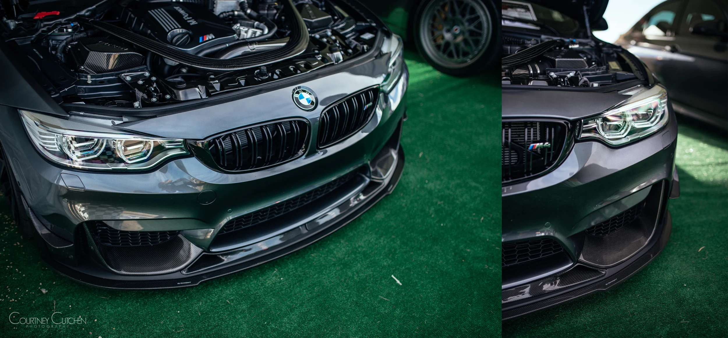 DSC_7171diptych.jpg