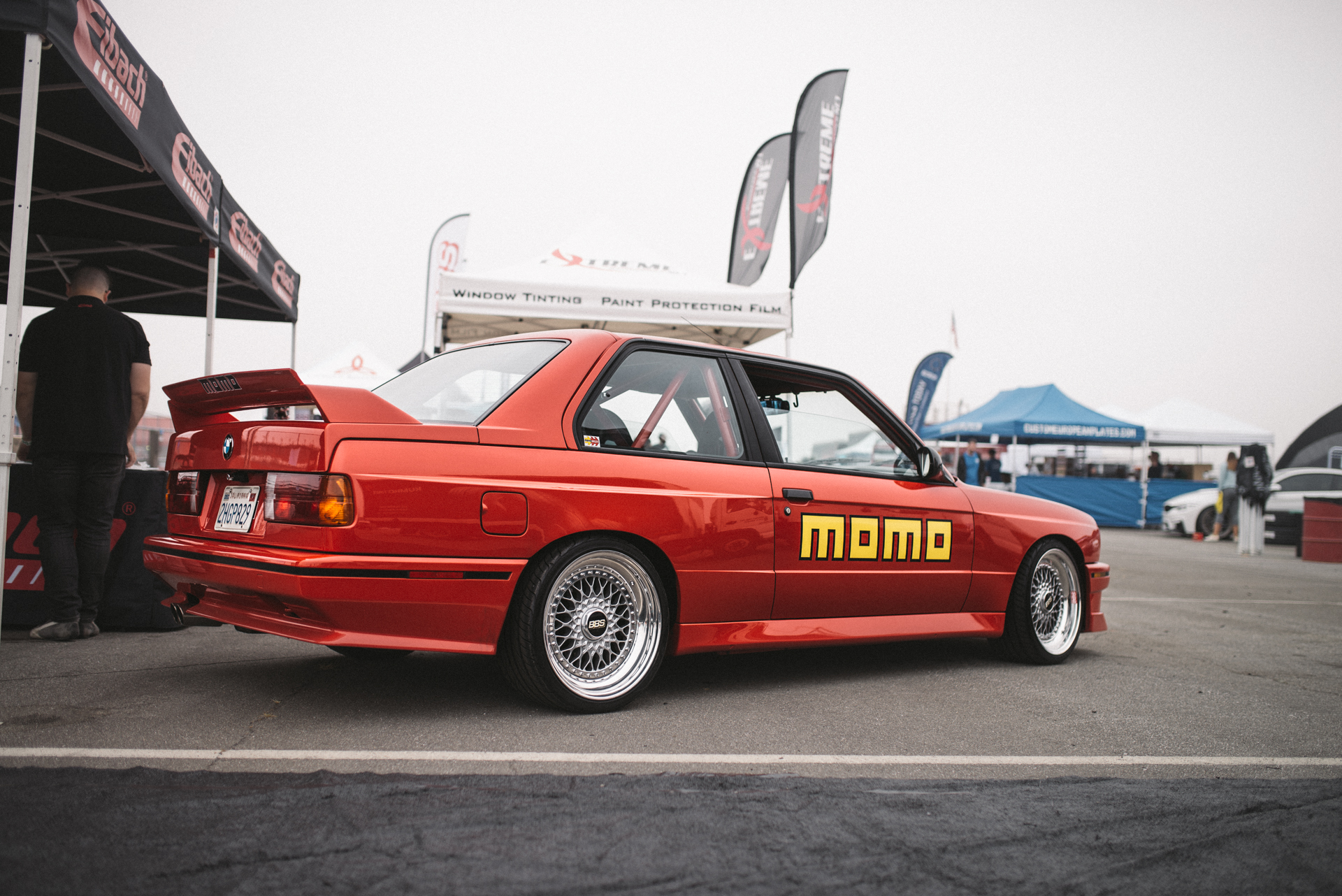 DSC_7386.jpg
