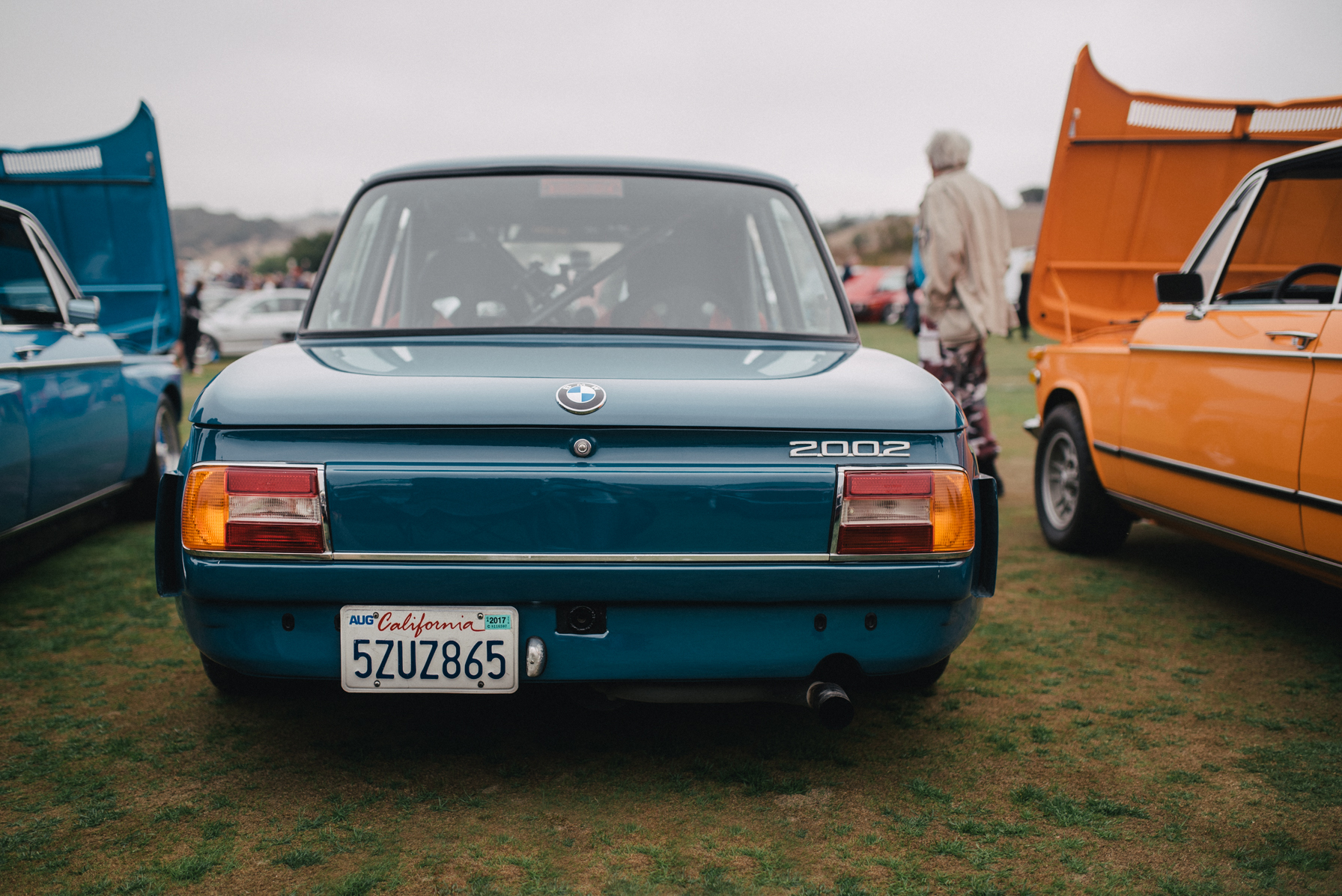 DSC_3609crop.jpg
