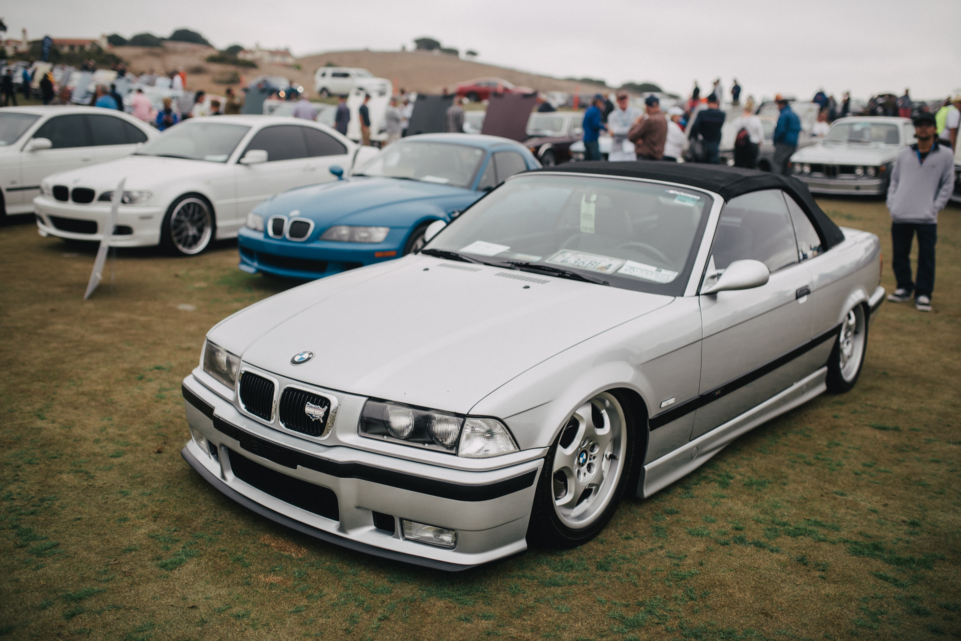 DSC_3616.jpg