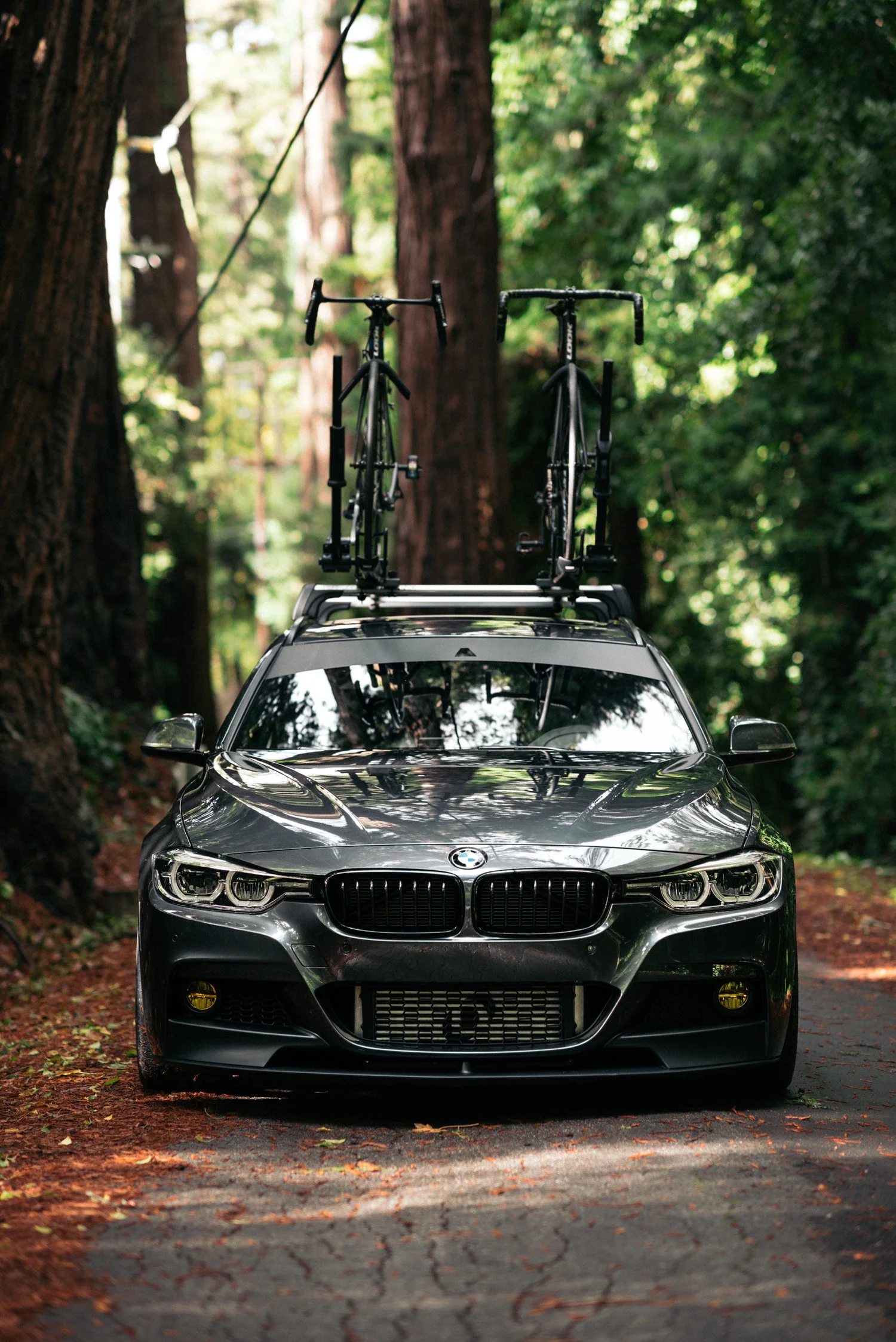 Grocery Getter, Hobby Hauler: Wagon in the Mountains