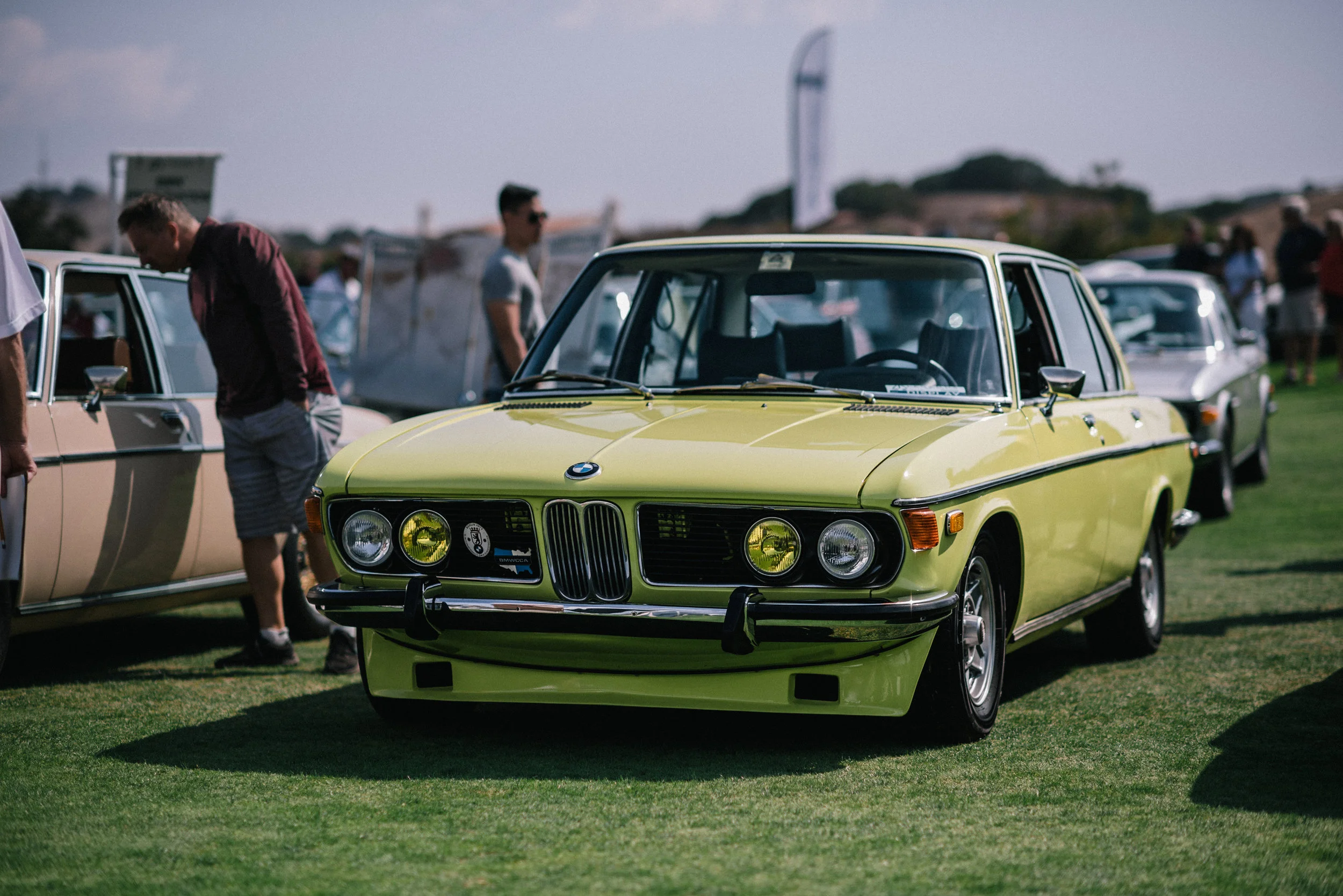 DSC_0512.jpg