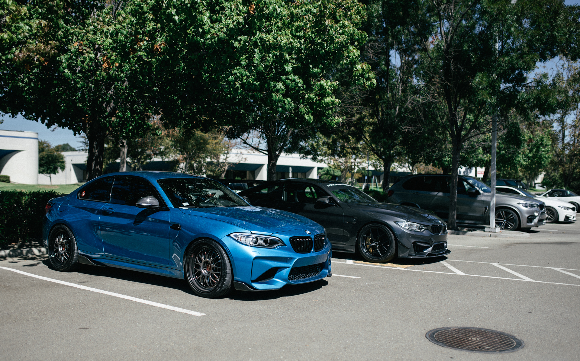 DSC_4509.jpg