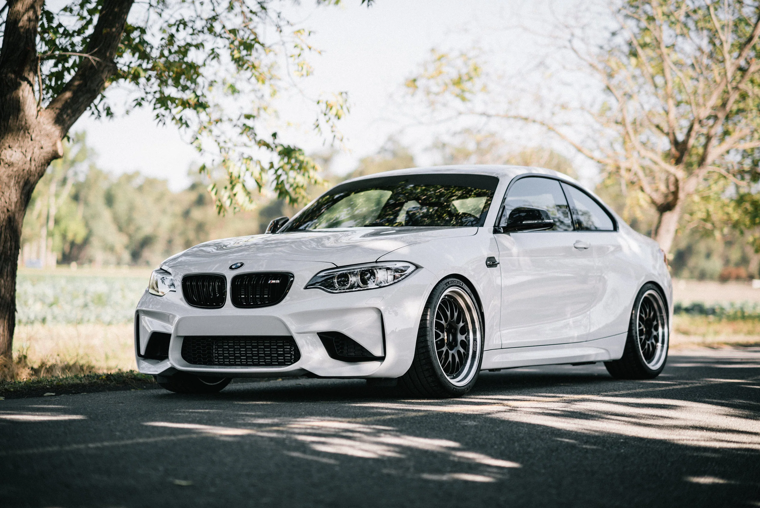 DSC_9872-Edit.jpg
