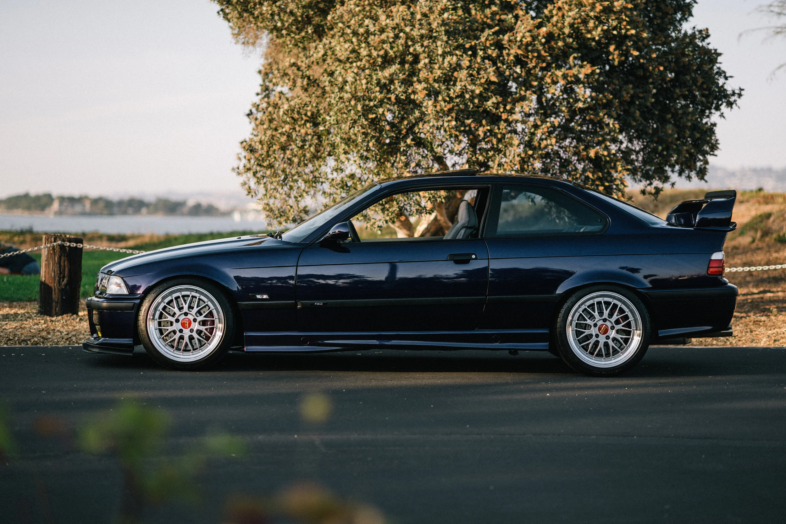 DSC_7161-Edit.jpg