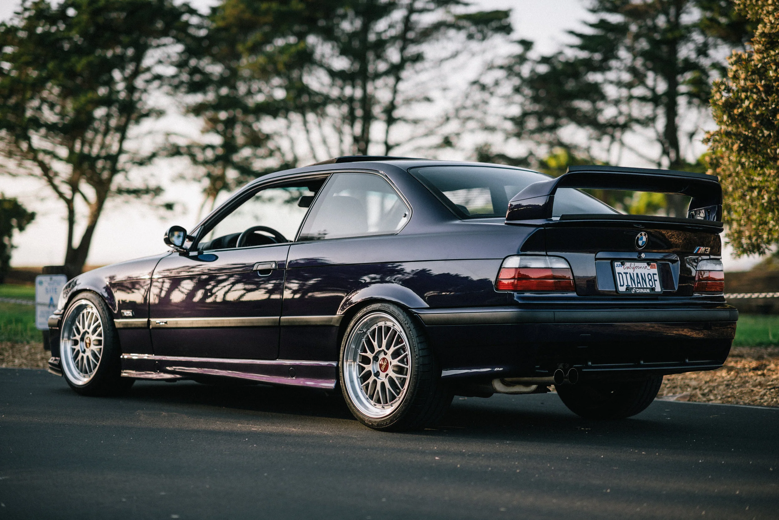 DSC_7180-Edit.jpg