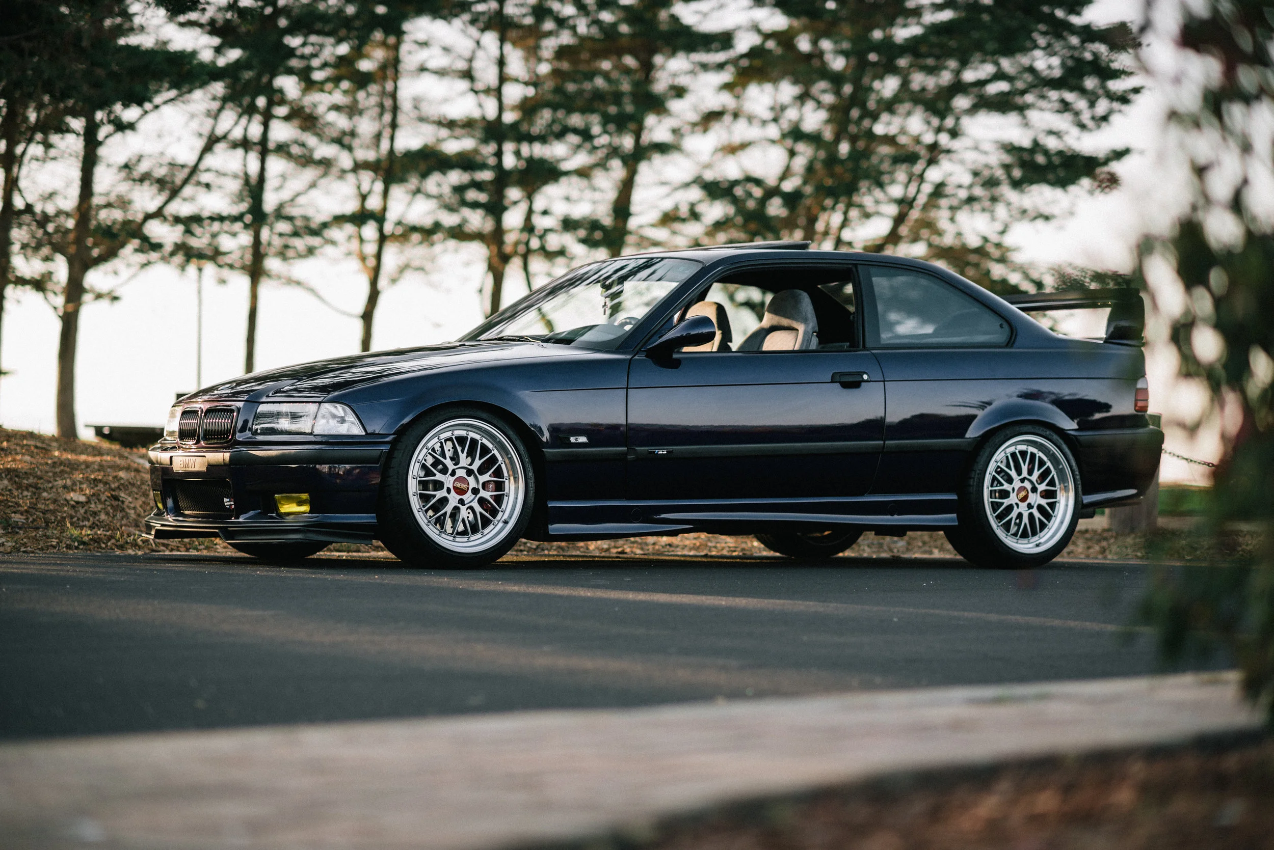 DSC_7262-Edit.jpg