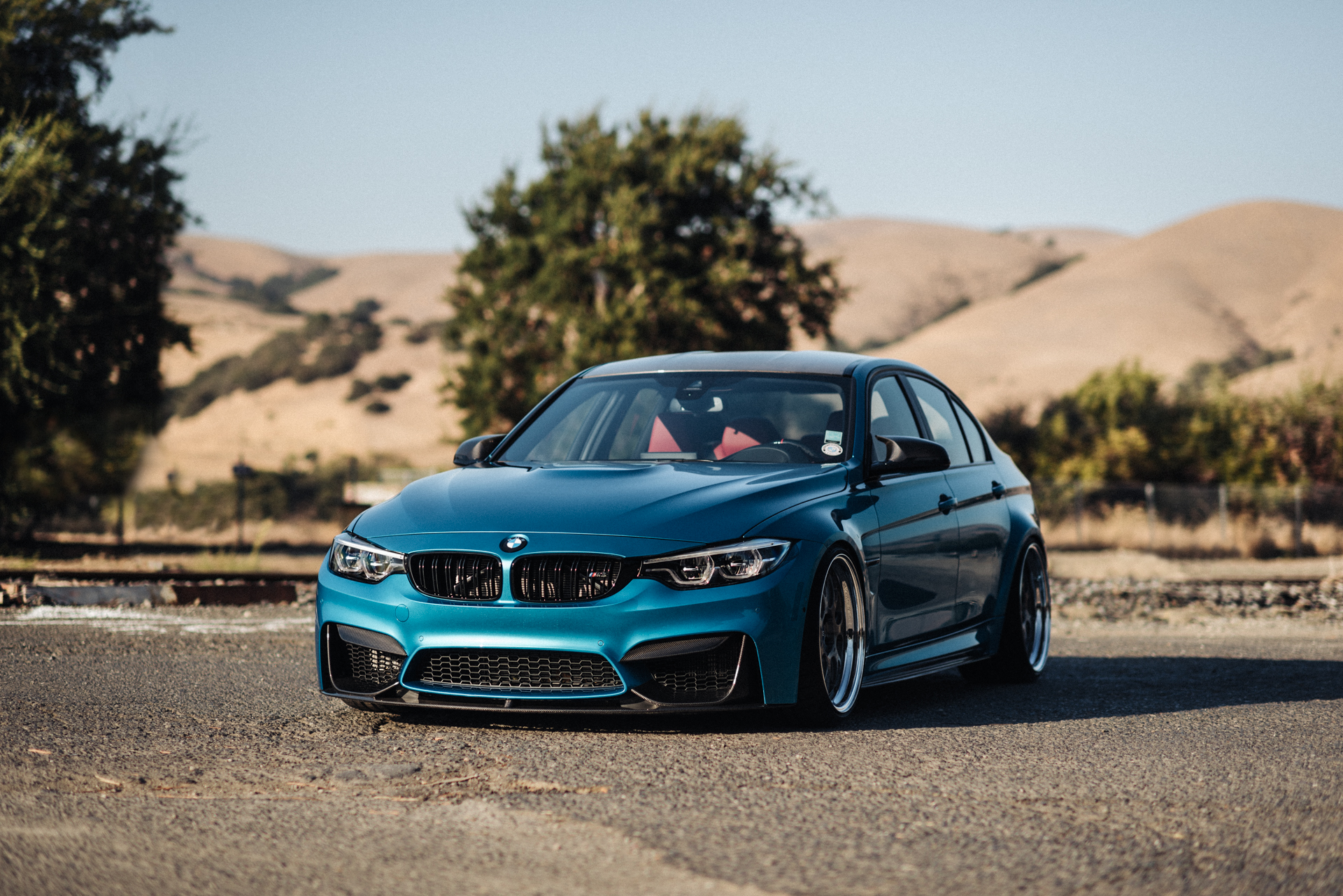 DSC_8674-Edit.jpg