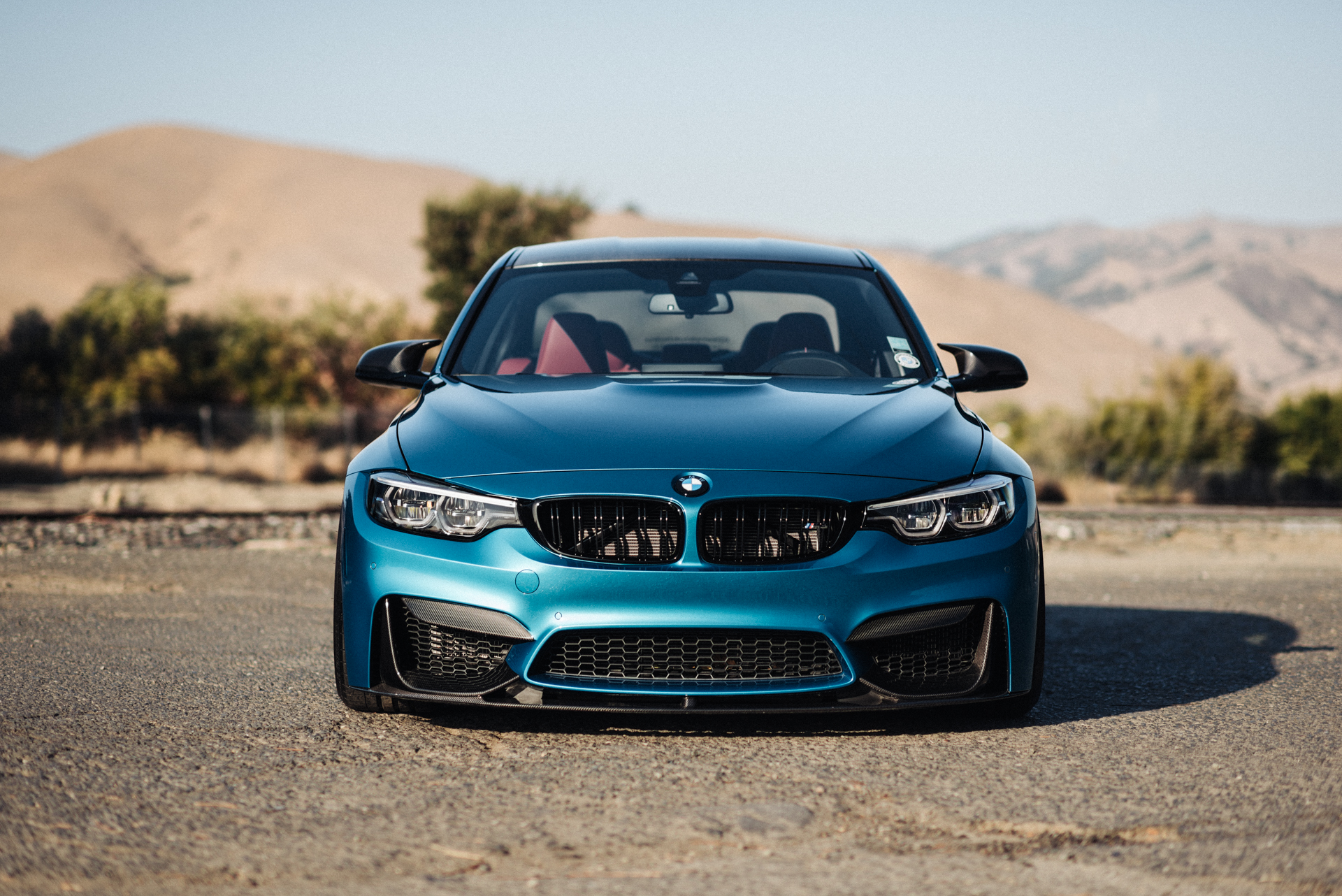 DSC_8676-Edit.jpg