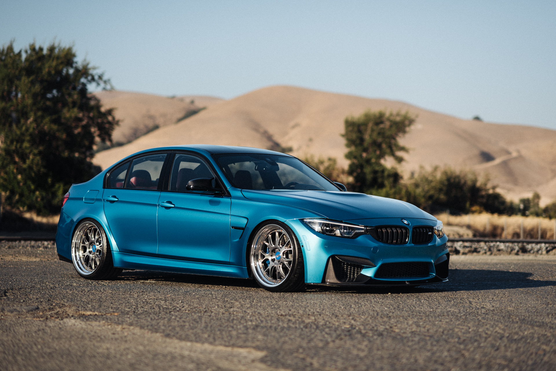 DSC_8751-Edit.jpg
