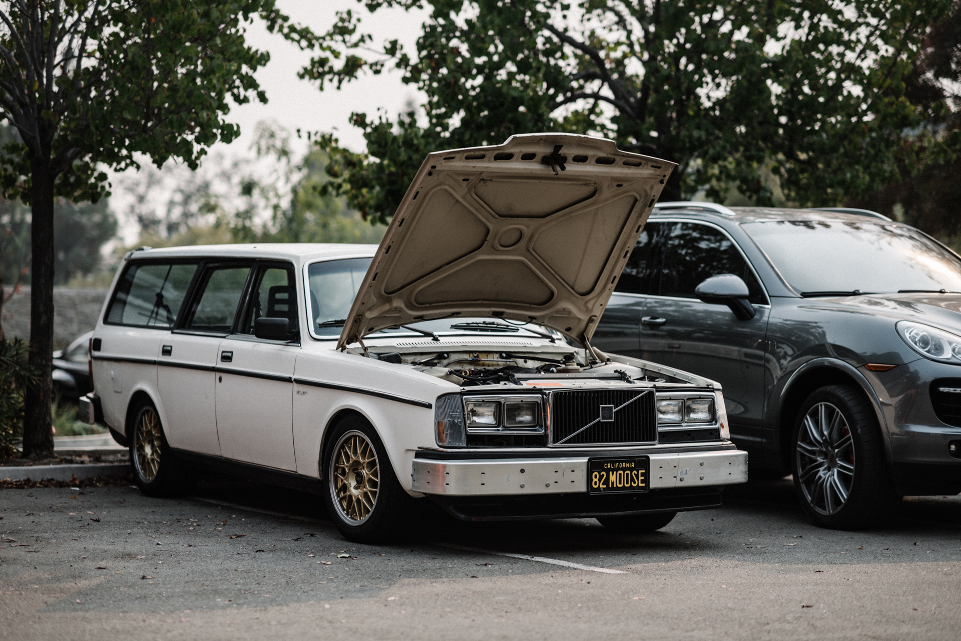 DSC_7363.jpg