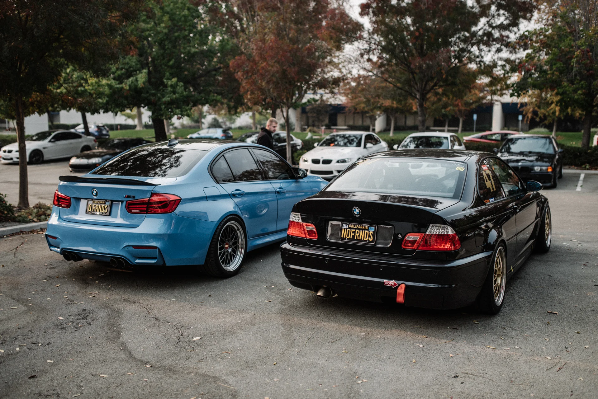 DSC_7539.jpg