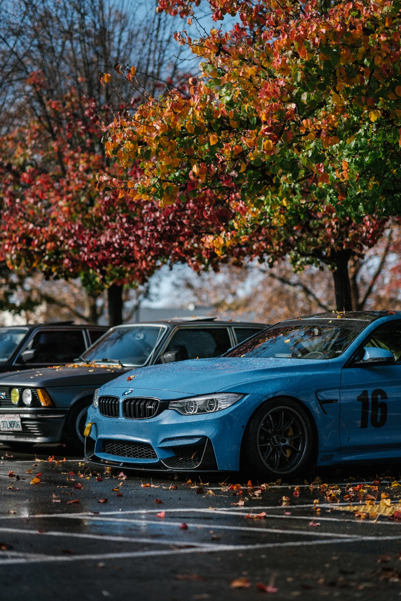 DSC_0074.jpg