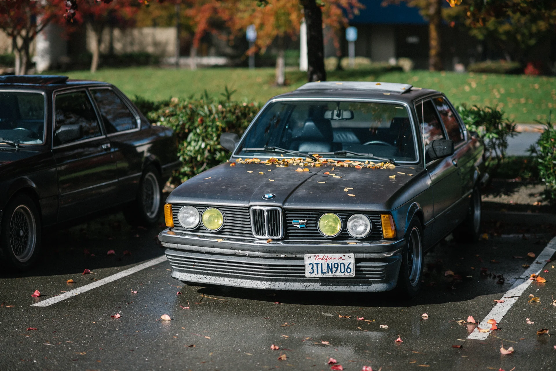 DSC_0077.jpg