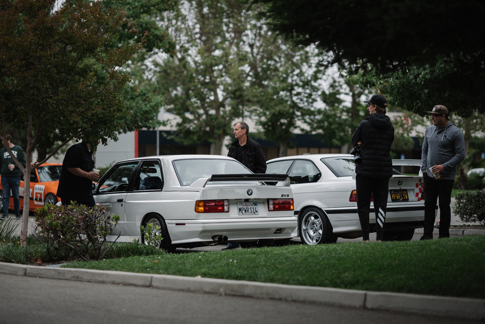 DSC_5134.jpg